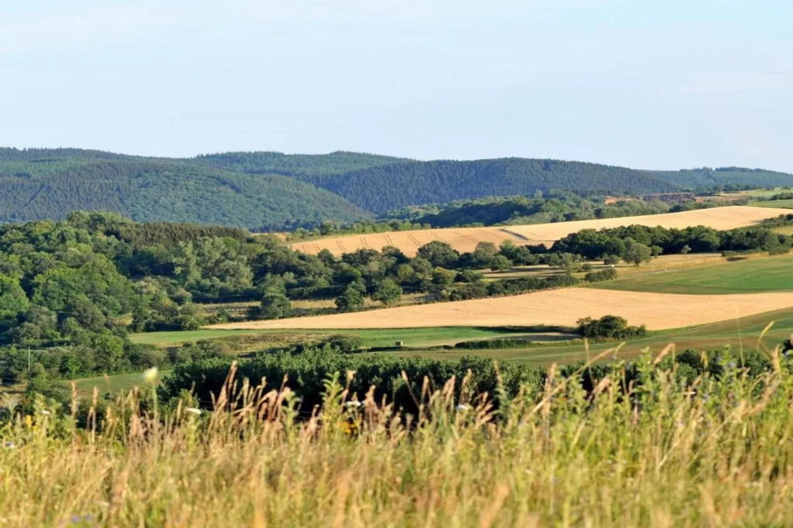 Eifelpark 9-Areas within 20km in summer