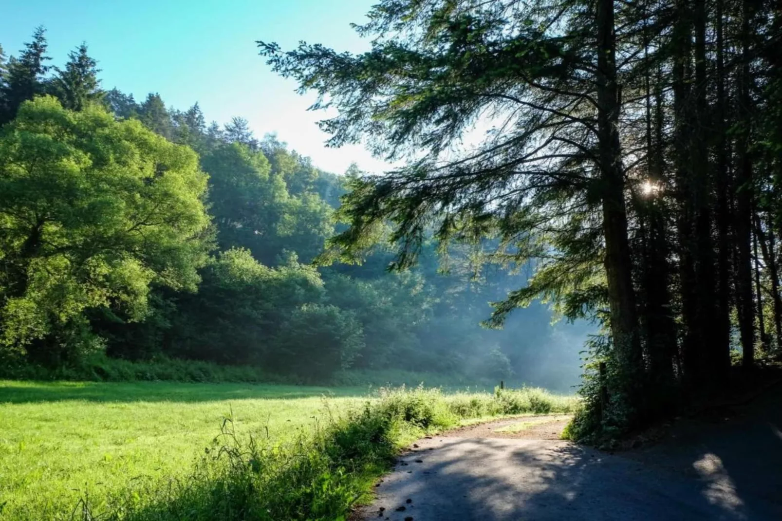 Feriendorf Reinskopf 1-Areas within 5km in summer