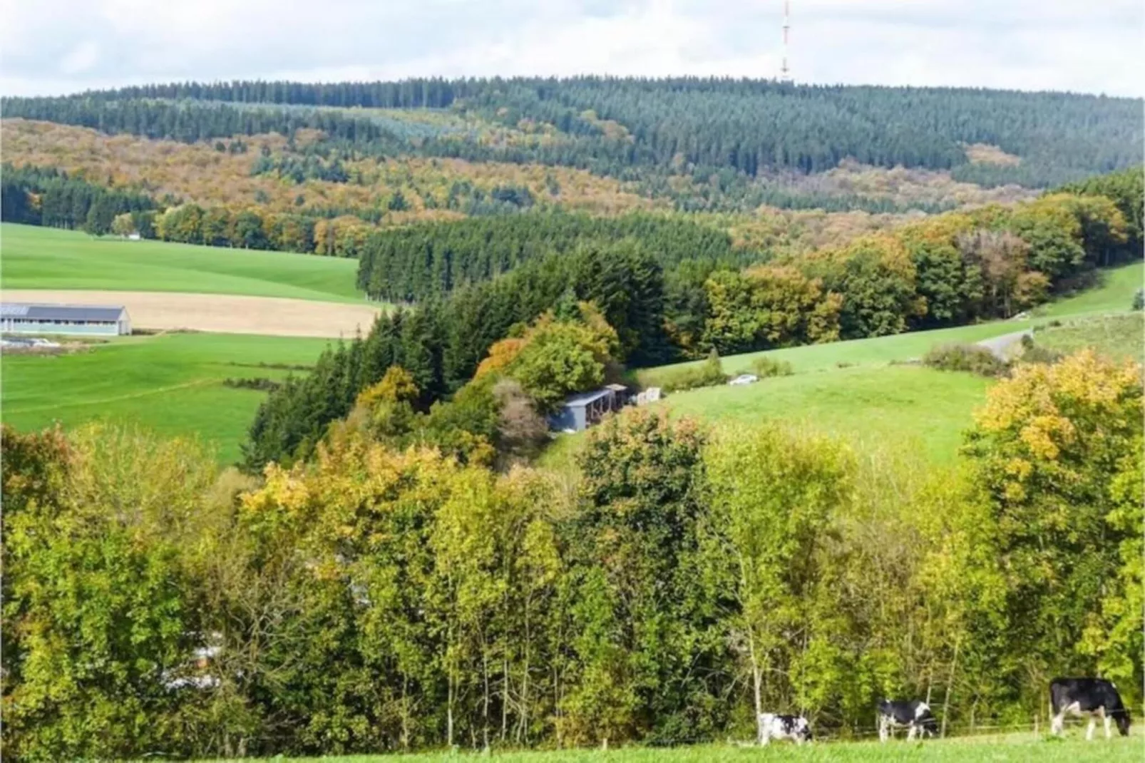Feinen-Steils-Areas within 20km in summer