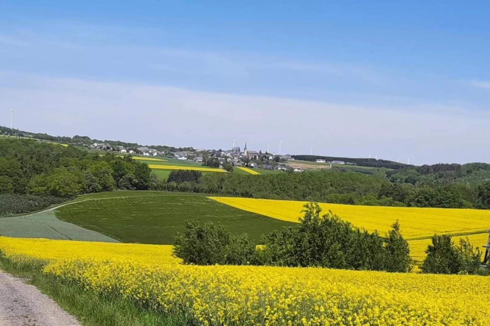 Kaifenheimer Mühle 2-Areas within 20km in summer