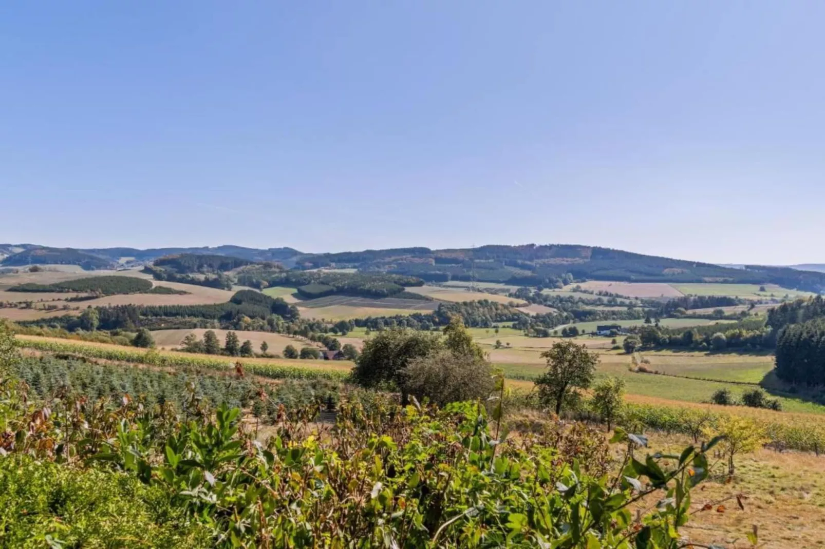 Oberkirchen-Areas within 20km in summer