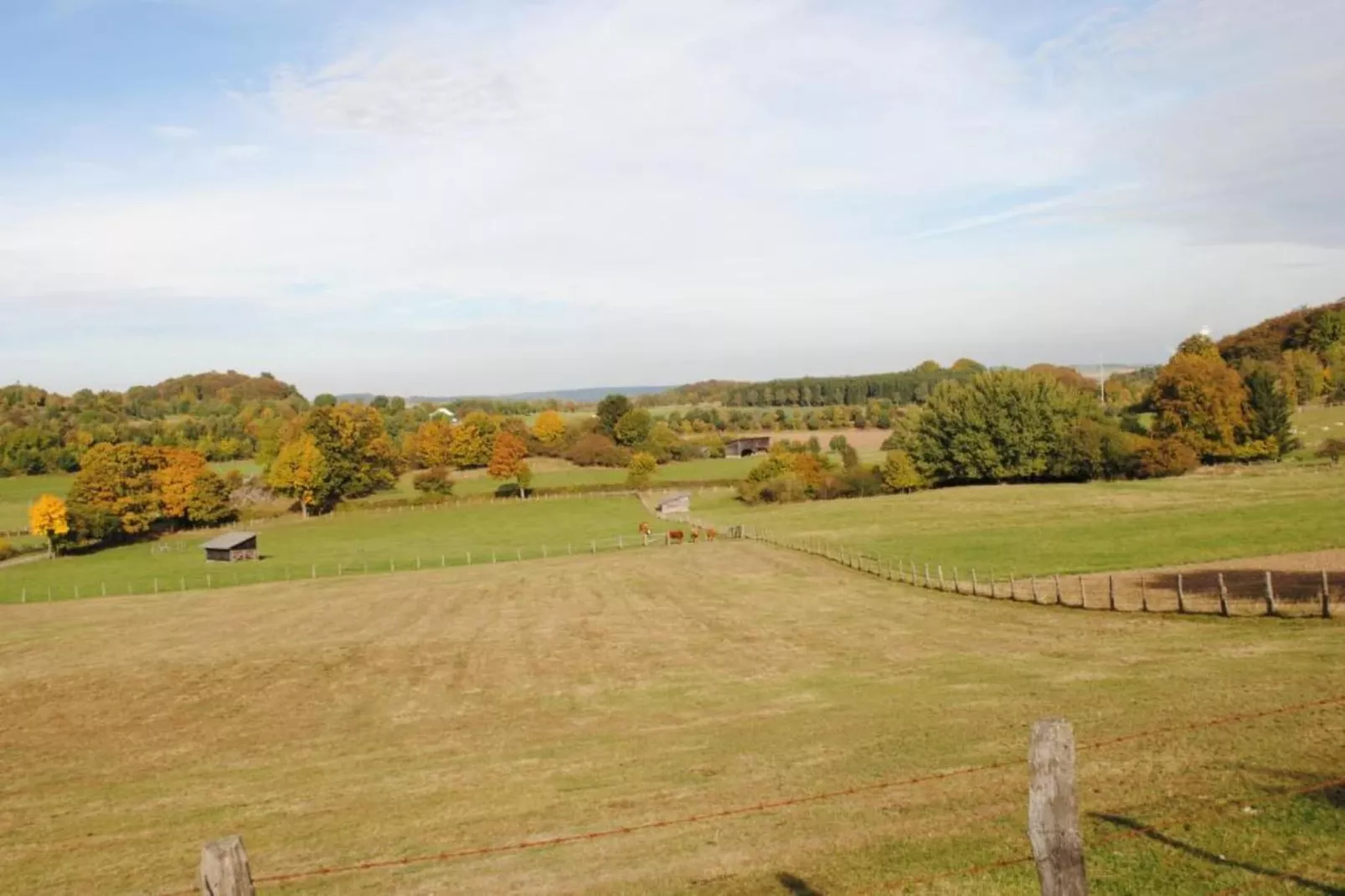 Sauerland-Gebiete Sommer 5 km