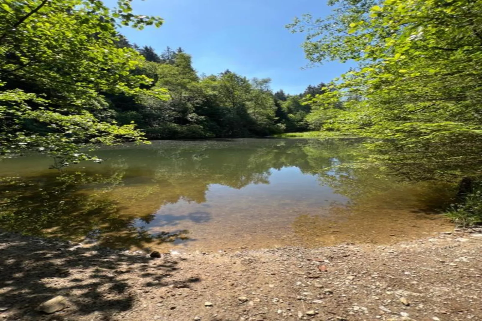 Im Ries I-Areas within 5km in summer