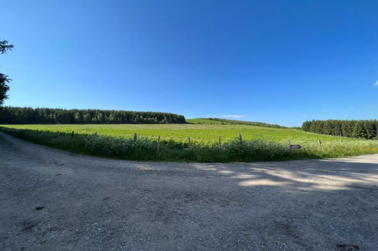 Sauerland-Gebiete Sommer 5 km