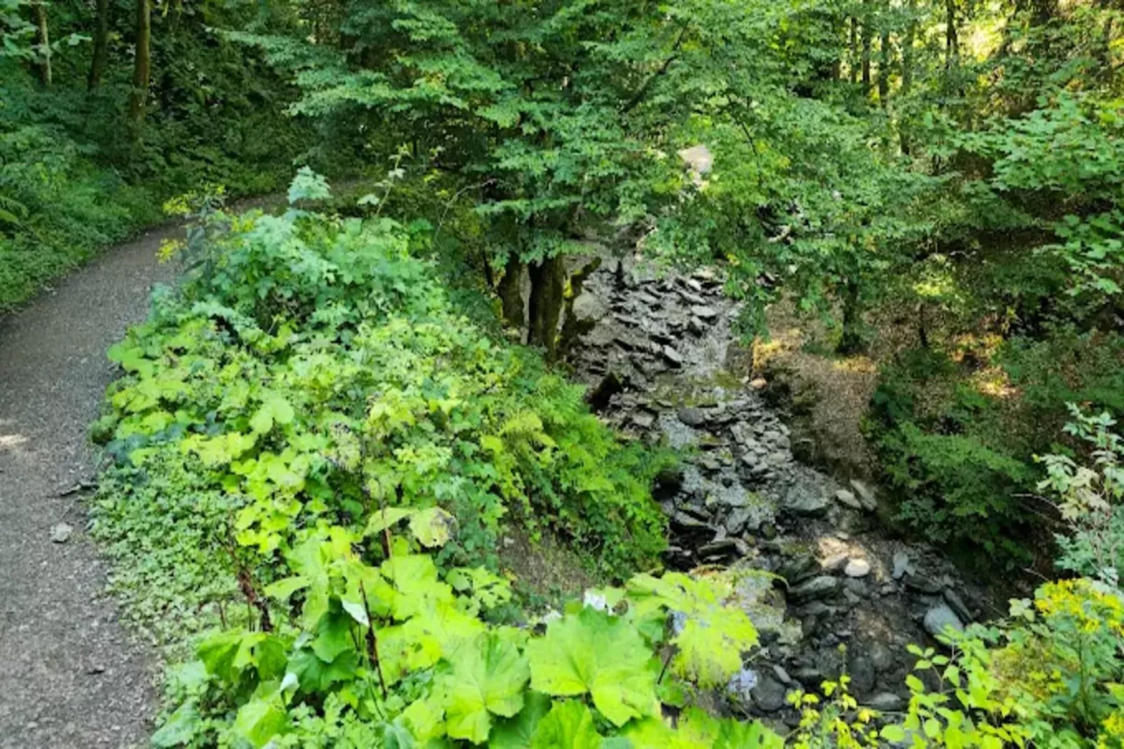Buchenweg 13 - Kappenblick-Zones été à 5 km