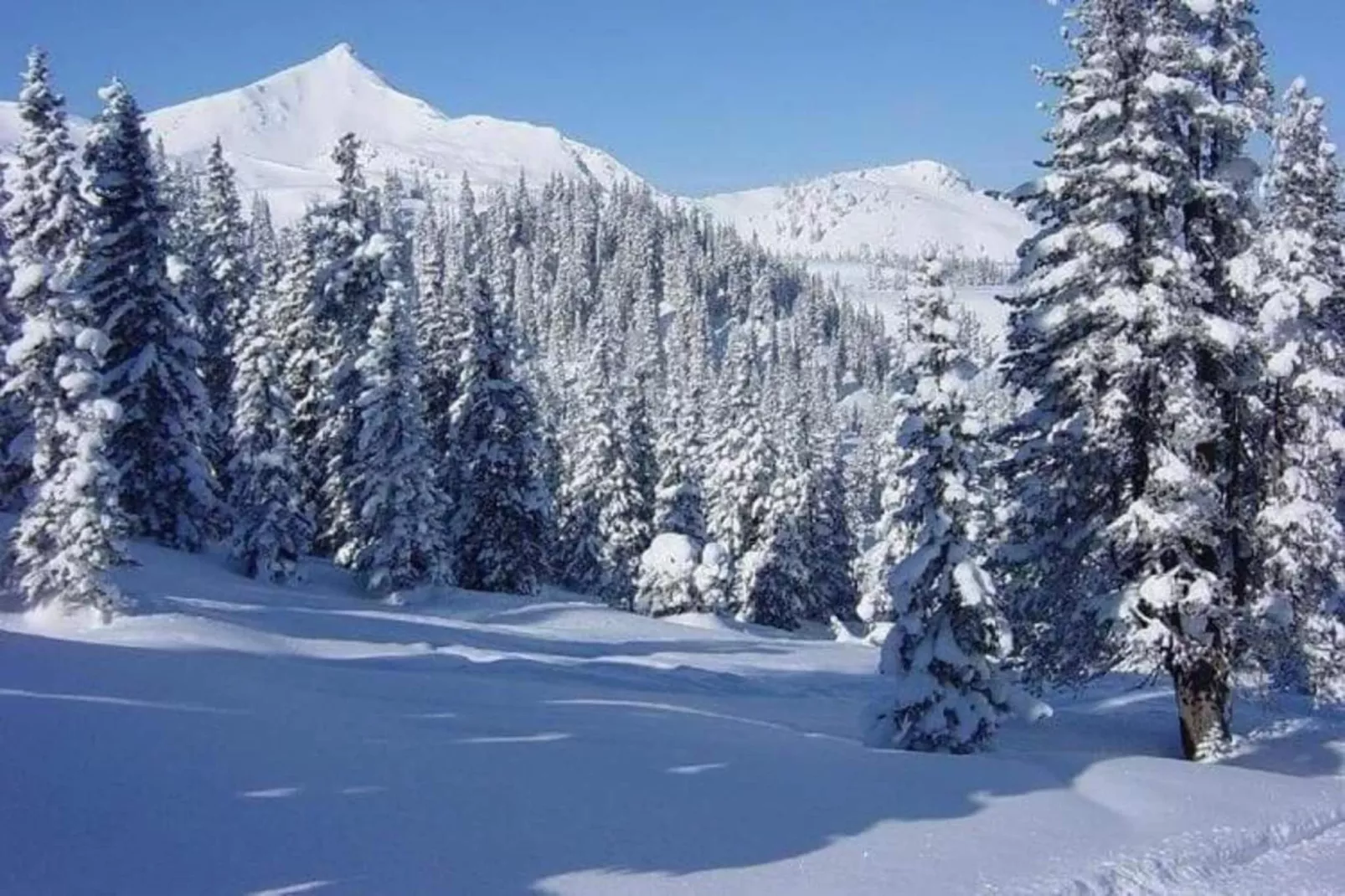 Medebach-Gebiet Winter 5 km