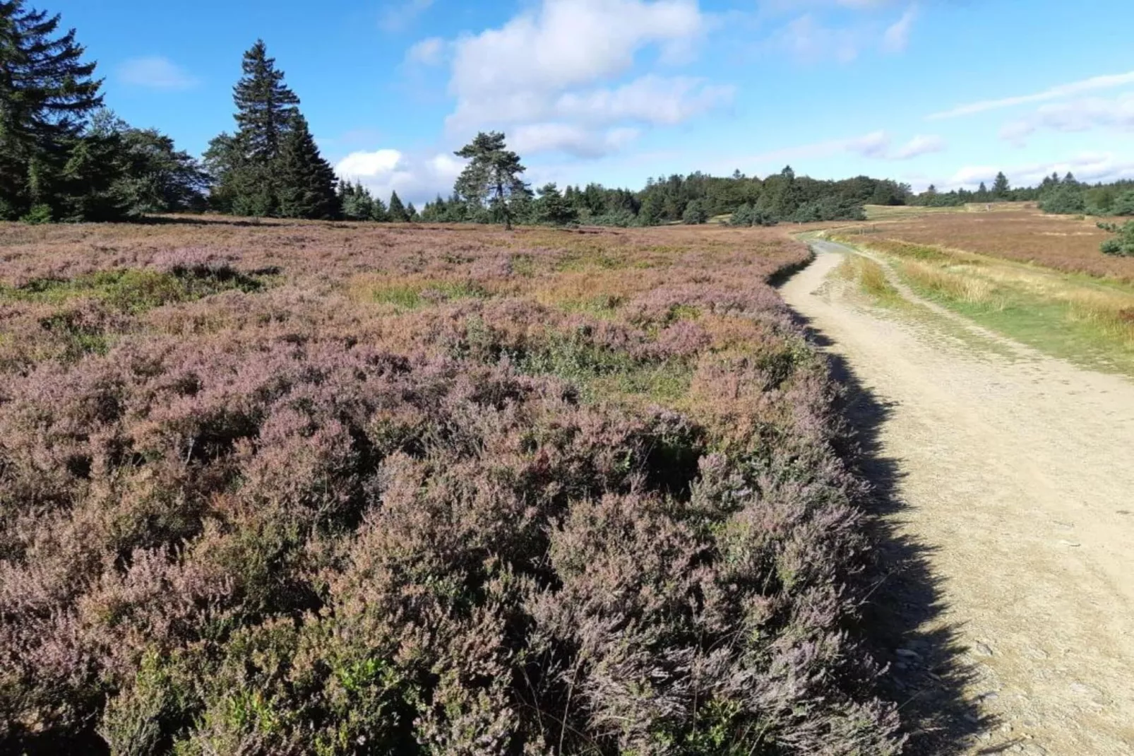 Medebach-Gebiete Sommer 5 km