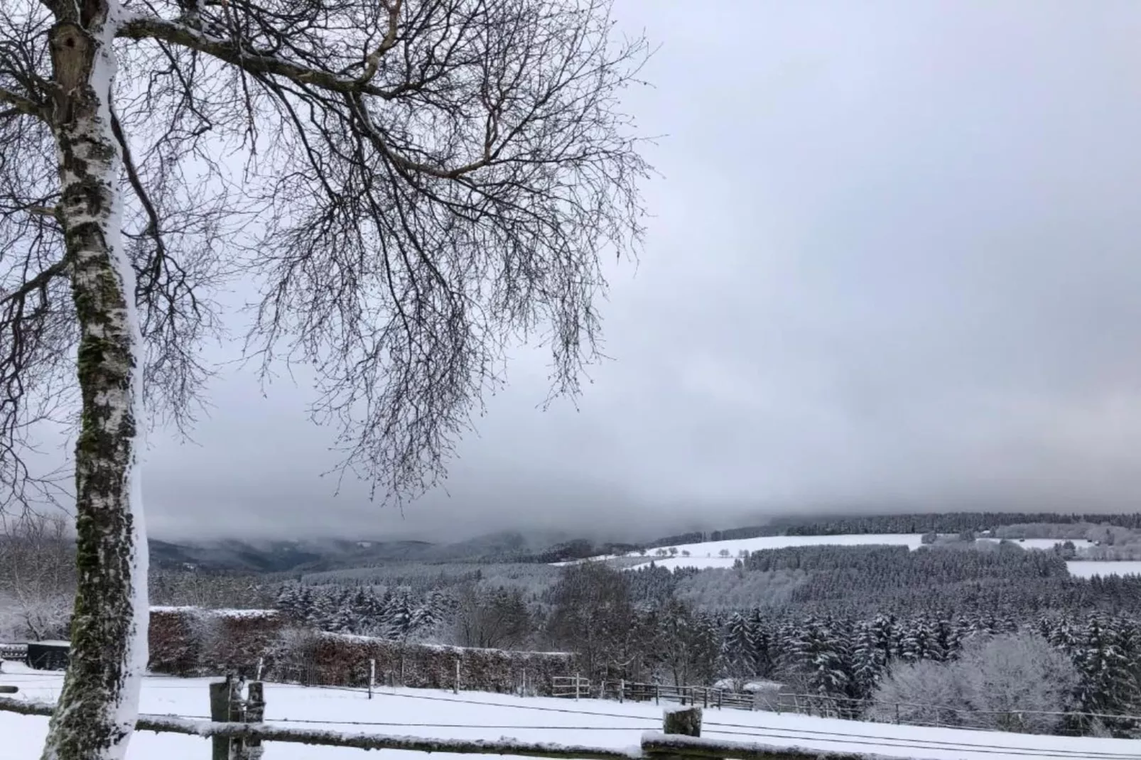 Küstelberg-Gebiet Winter 20 km