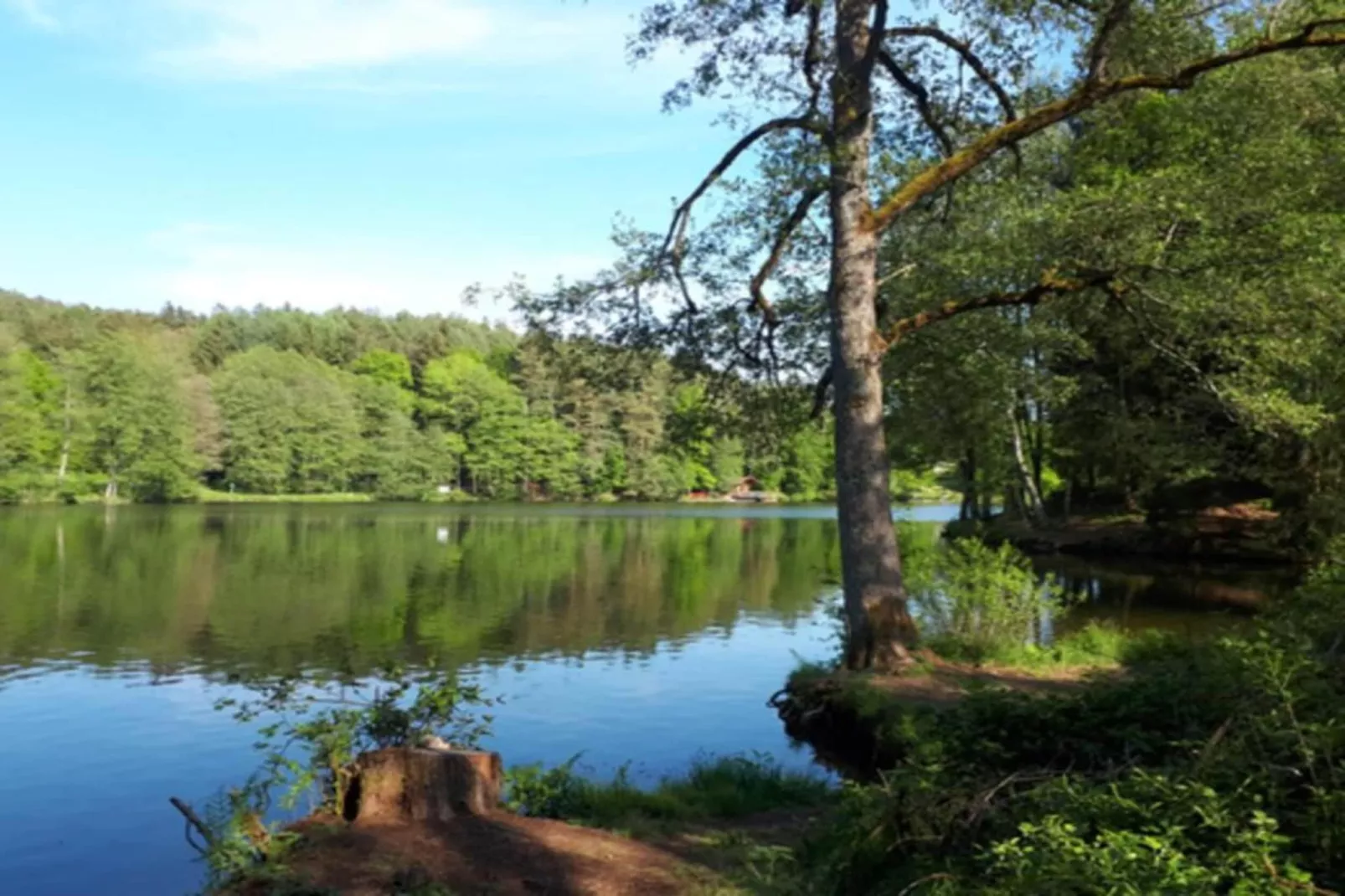 Feriendorf Waldbrunn 1-Gebiete Sommer 20 km