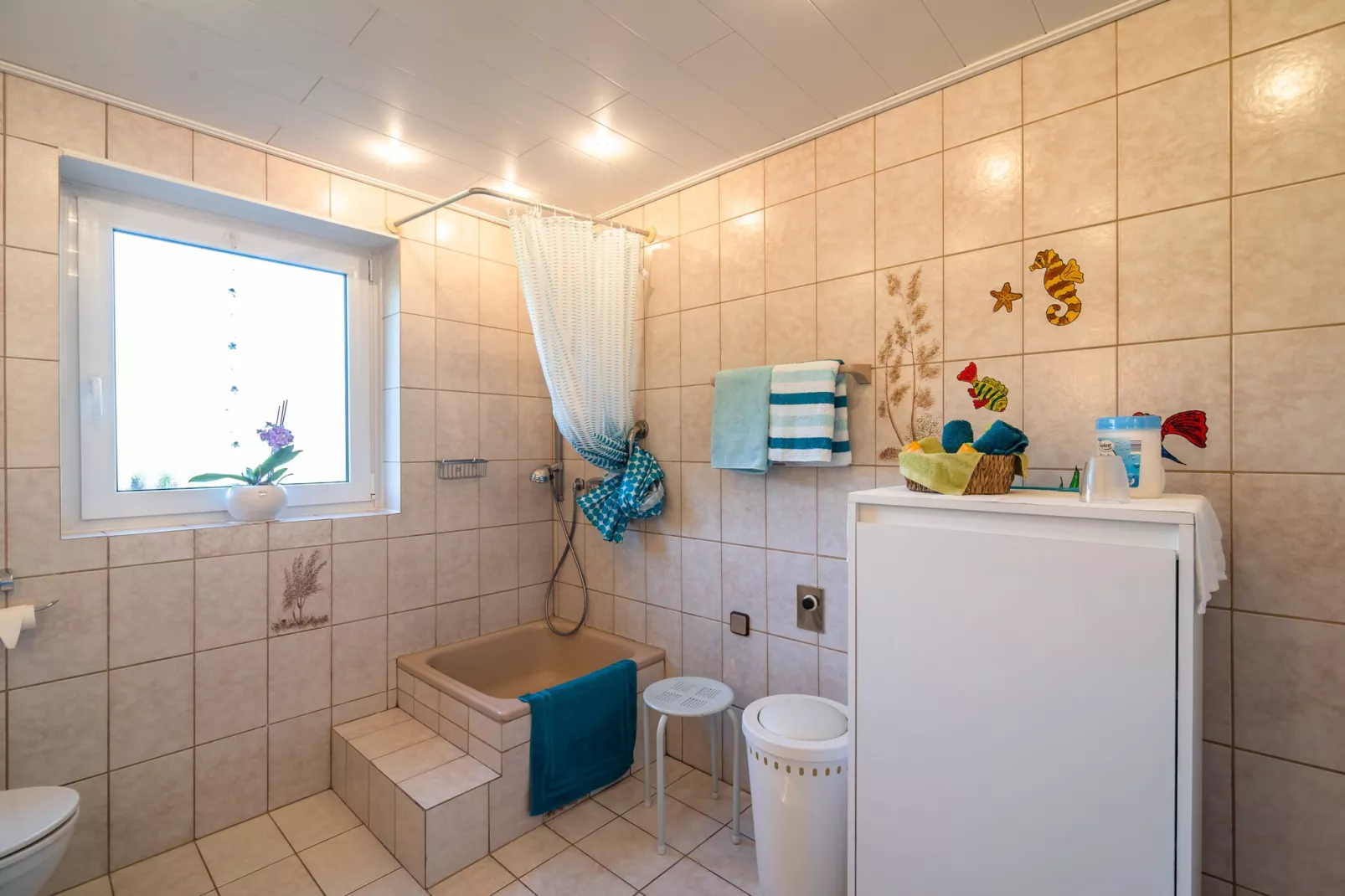 Katzer-Bathroom
