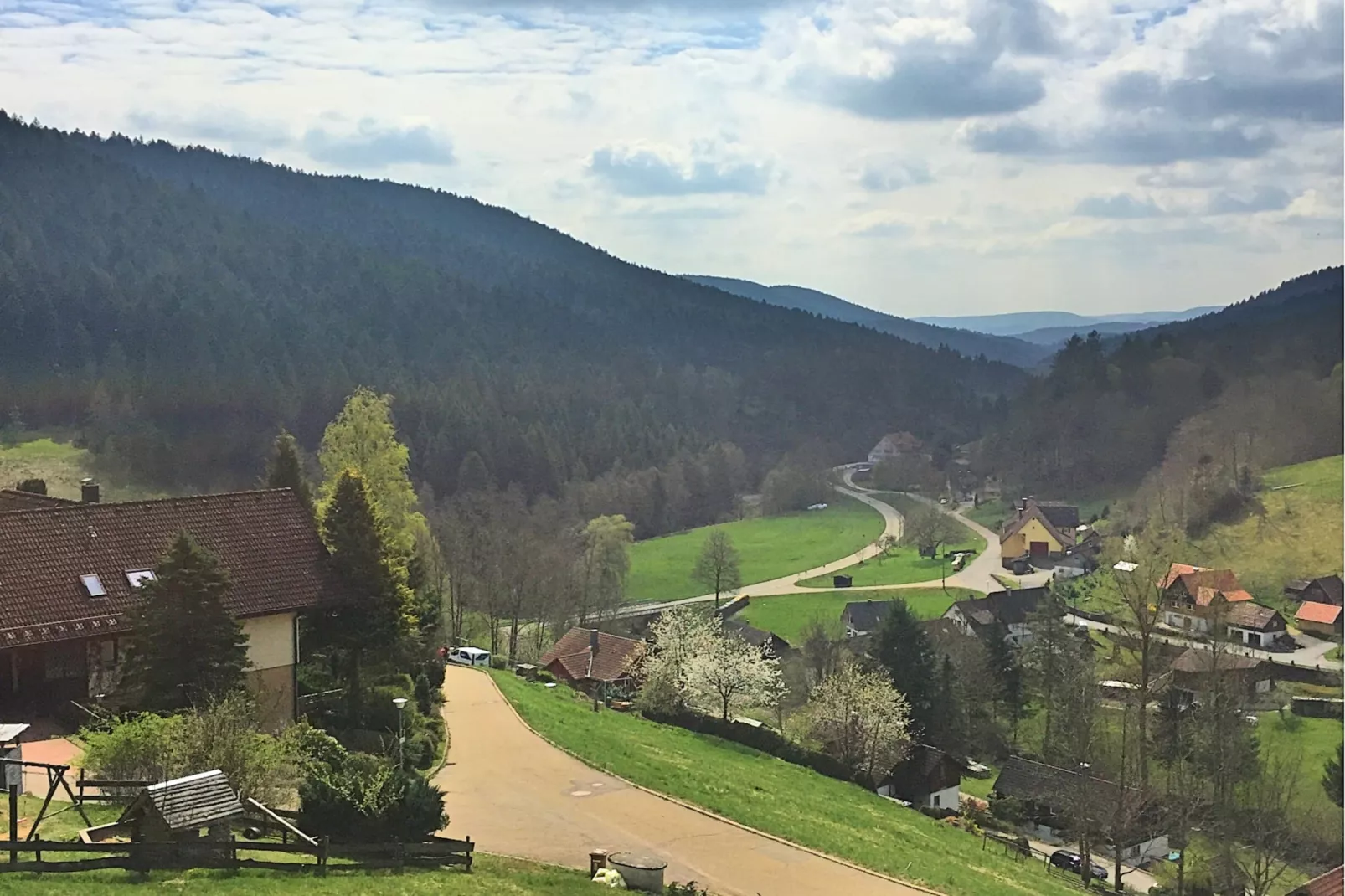 Schwarzwald-View in summer