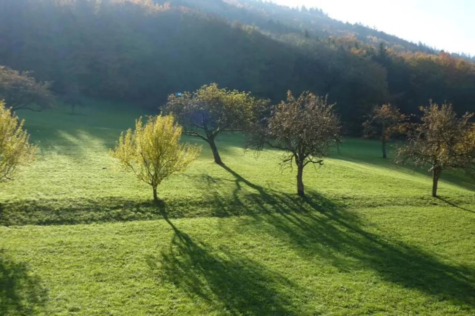 Haus Fischer-Areas within 20km in summer