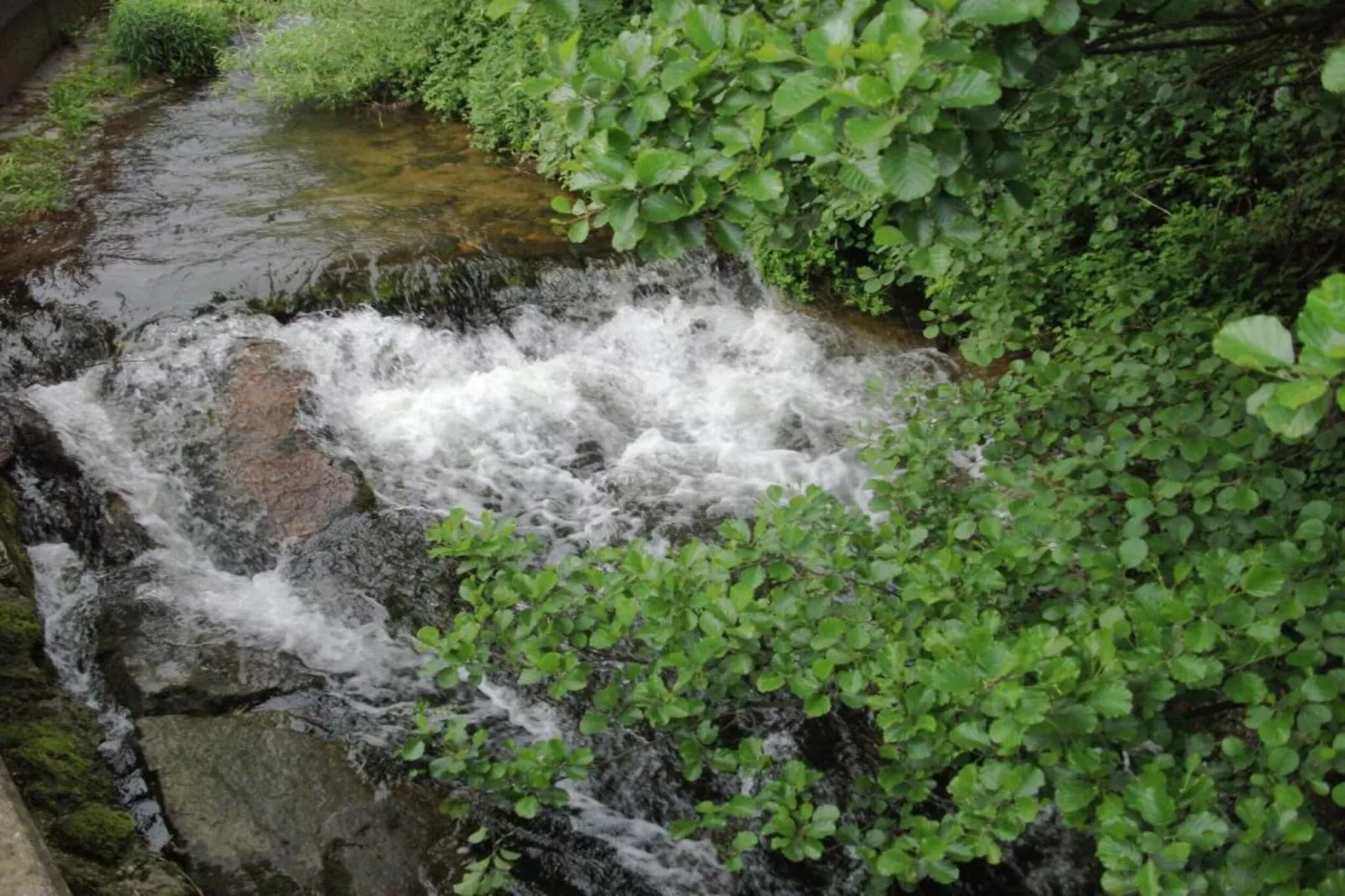 Panoramablick-Areas within 20km in summer