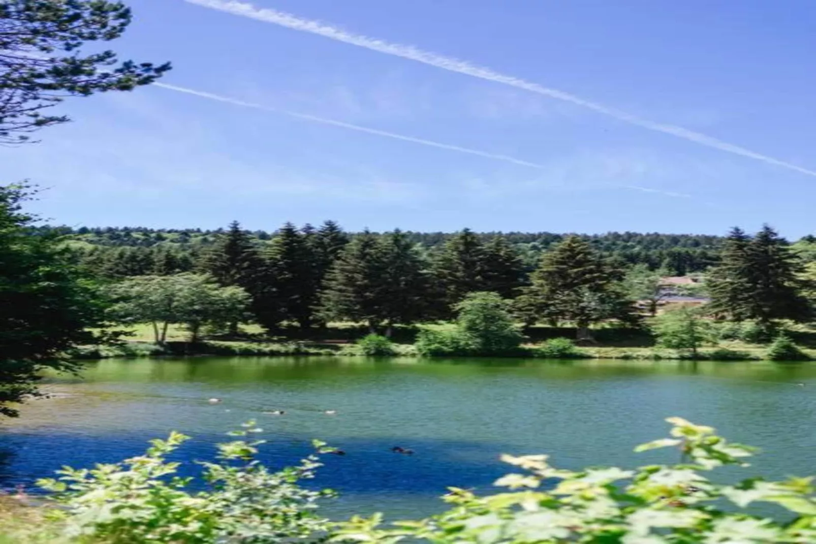 Bernau-Areas within 20km in summer