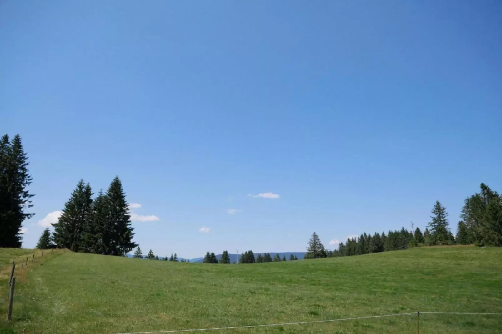 Schwarzwaldhaus Pferdeklause-Areas within 20km in summer