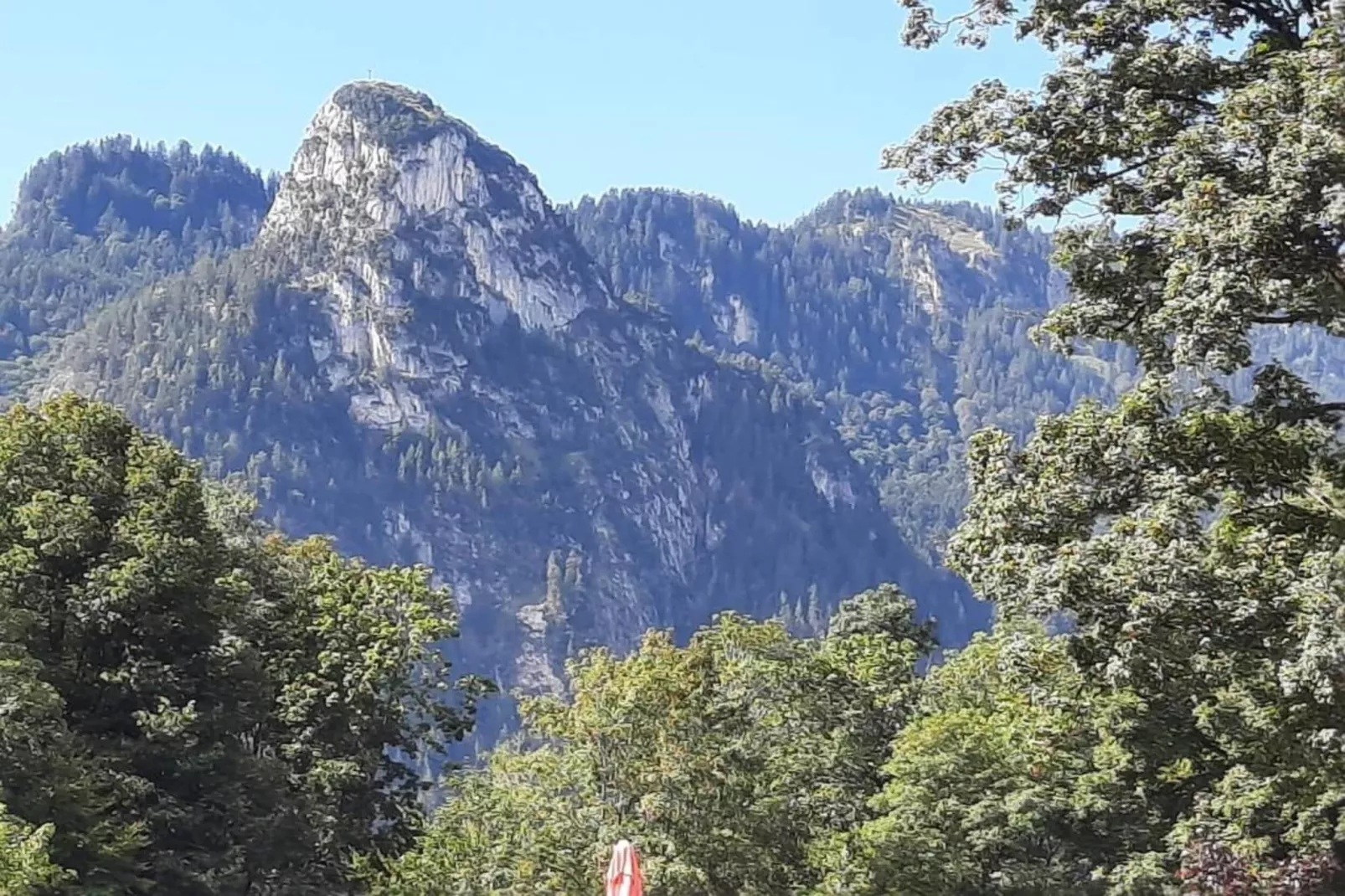 Sonnenblume-Areas within 20km in summer