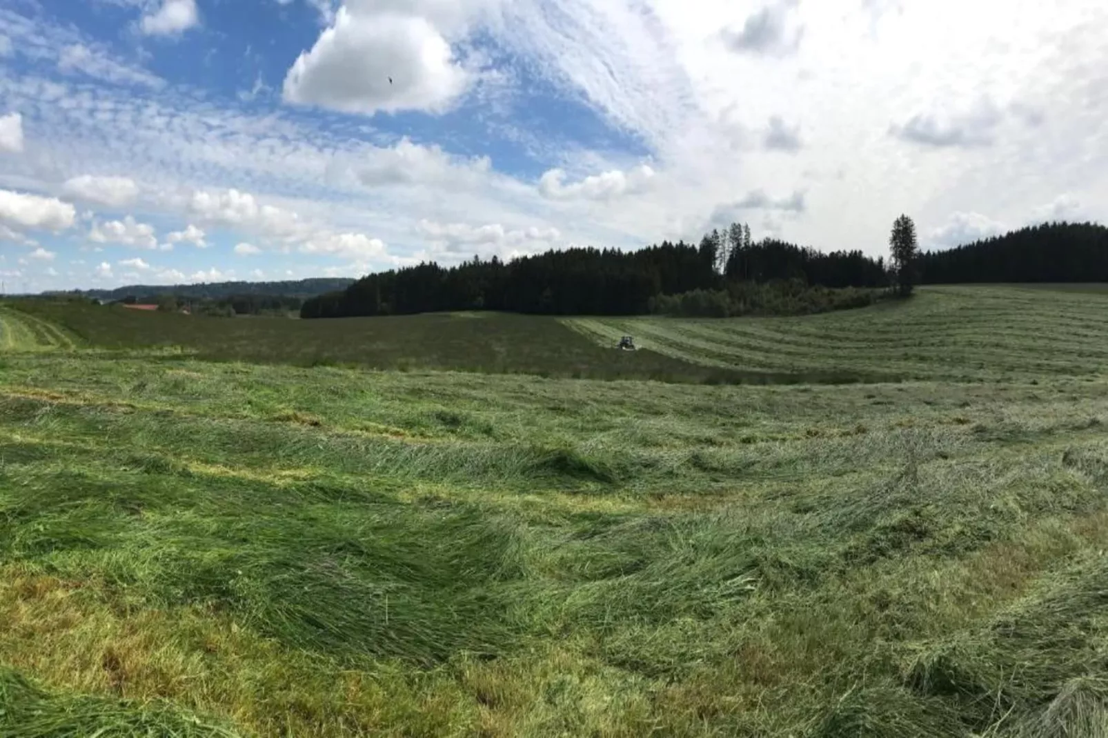 Ferien im Oberallgäu-Areas within 20km in summer