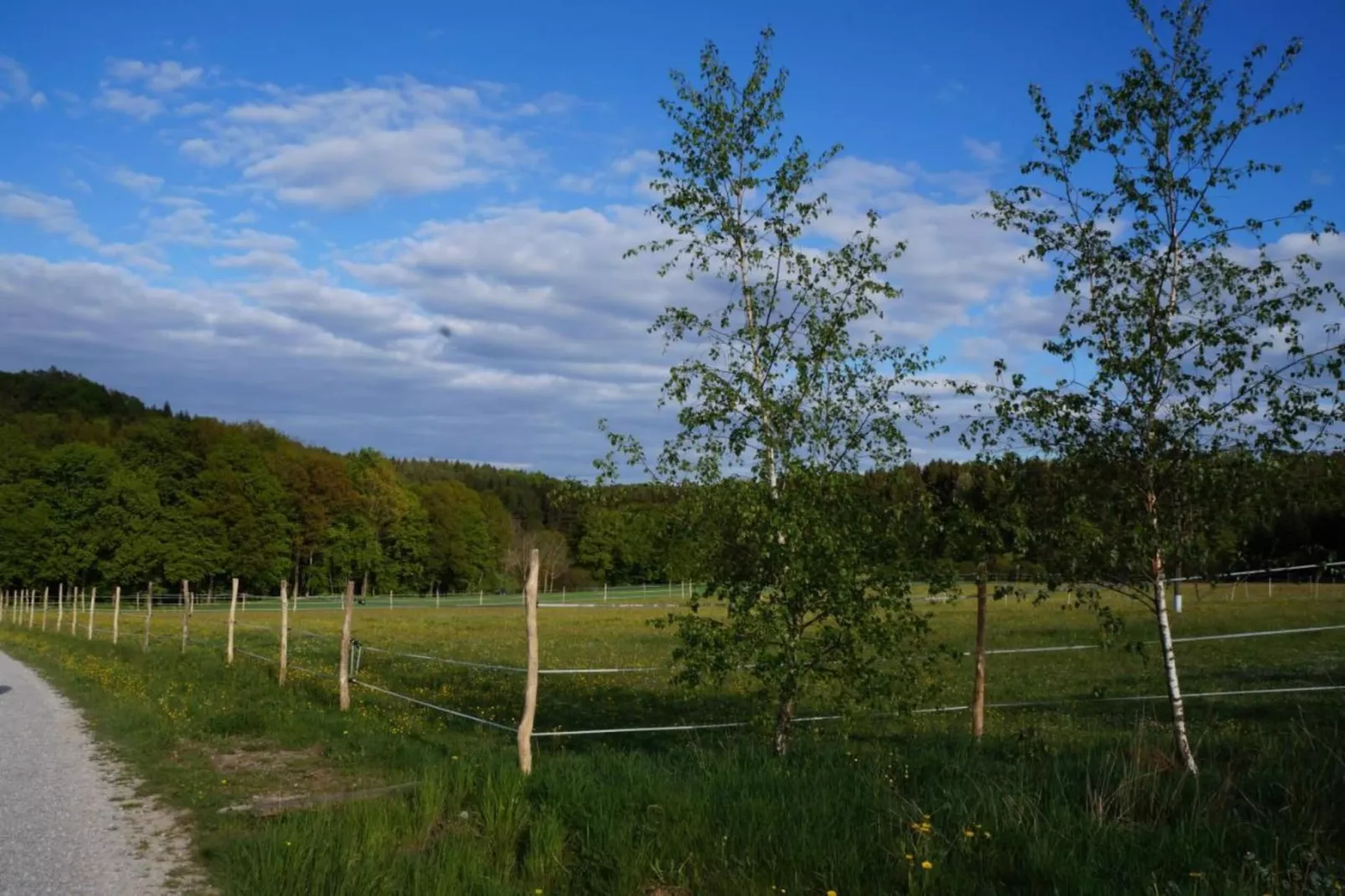Has'n Res-Areas within 20km in summer