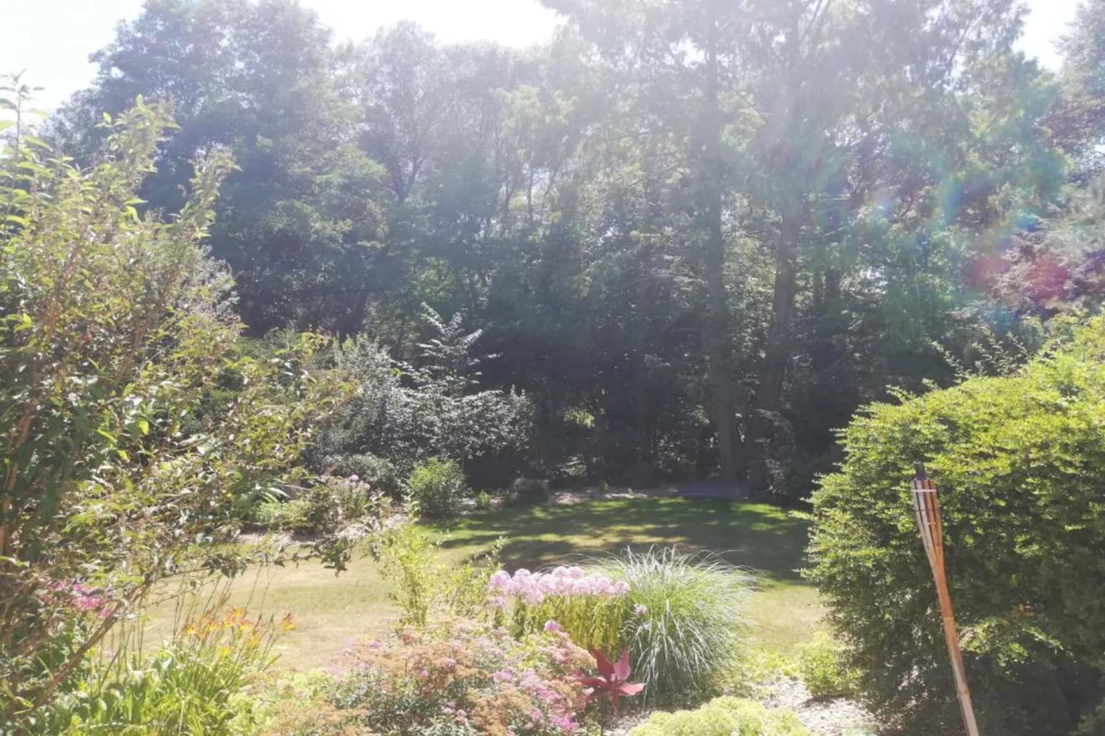 Bodenwöhr-Areas within 5km in summer