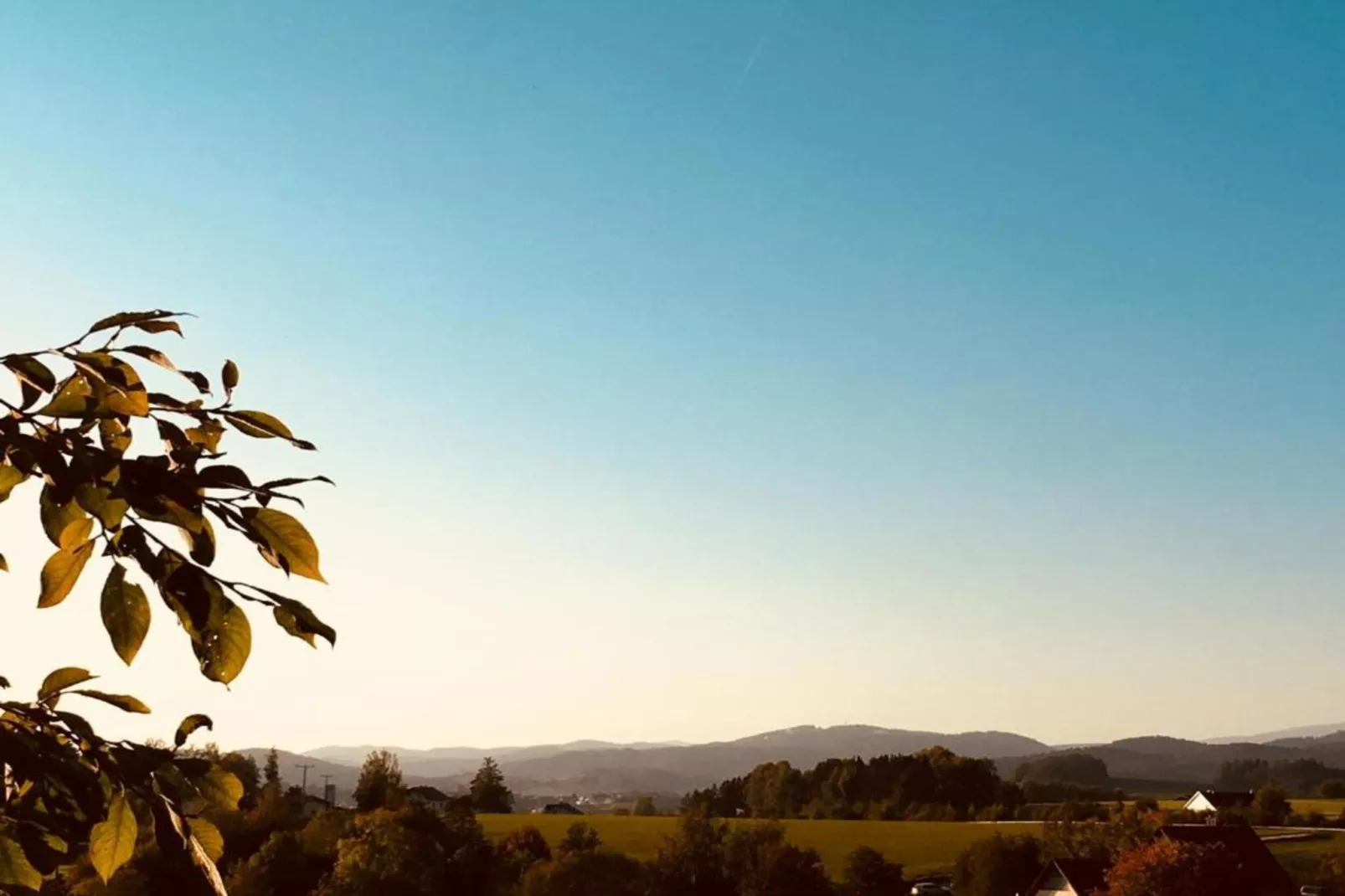 Bayerischer Wald-Areas within 20km in summer