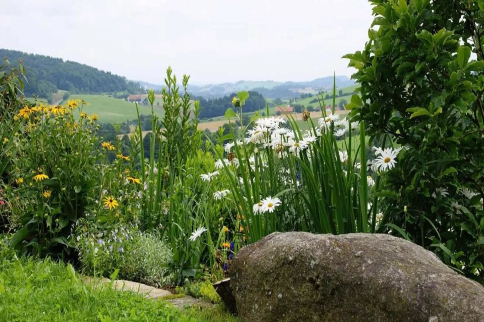 Im Bayerischen Wald-Areas within 20km in summer