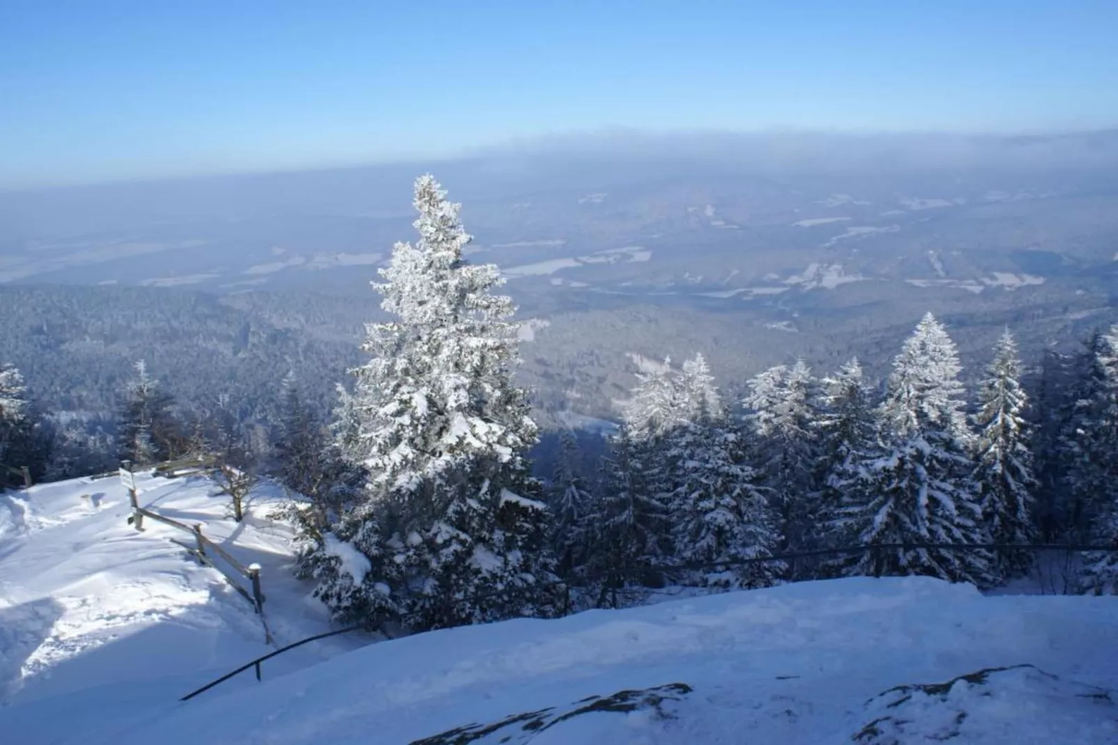 Im Zellertal-Area within 20km in winter