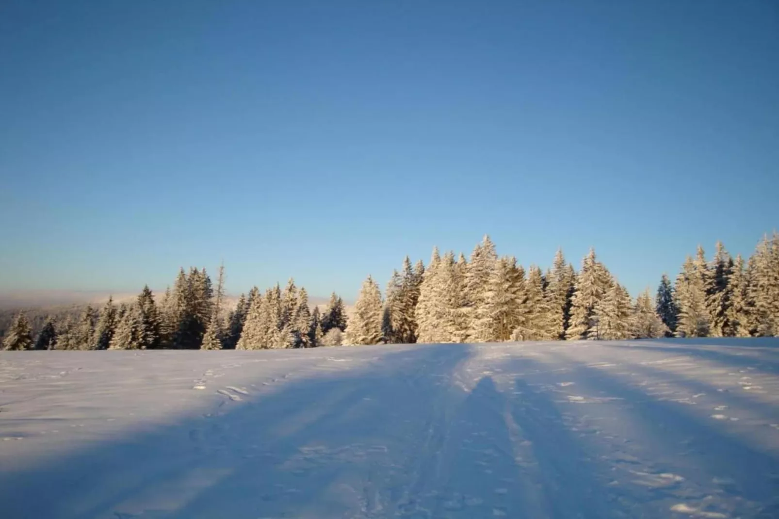 Kreut-Area within 20km in winter