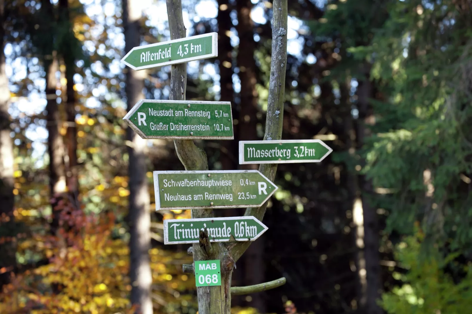 Waldblick-Gebiete Sommer 5 km