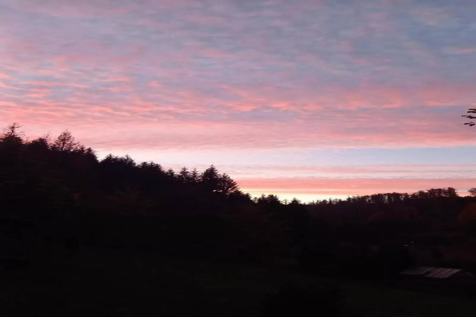 Waldblick-Gebiete Sommer 20 km