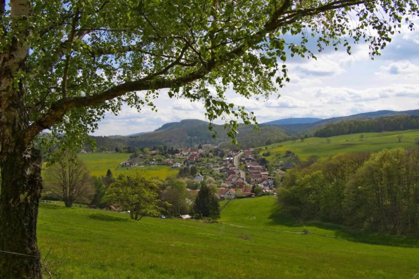 Mosbach-Areas within 5km in summer