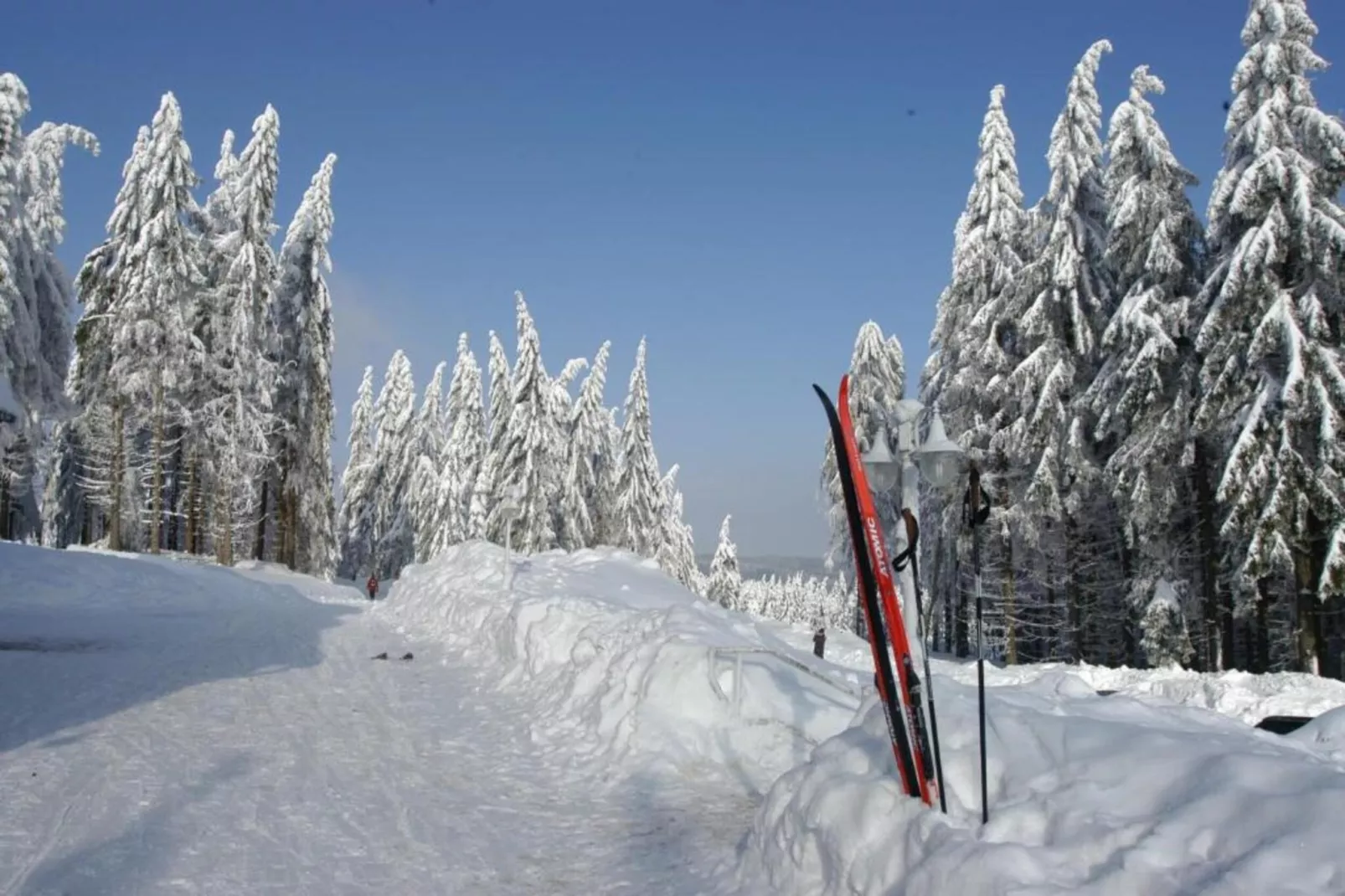 Ferienhaus im Thüringer Wald-Area within 5km in winter