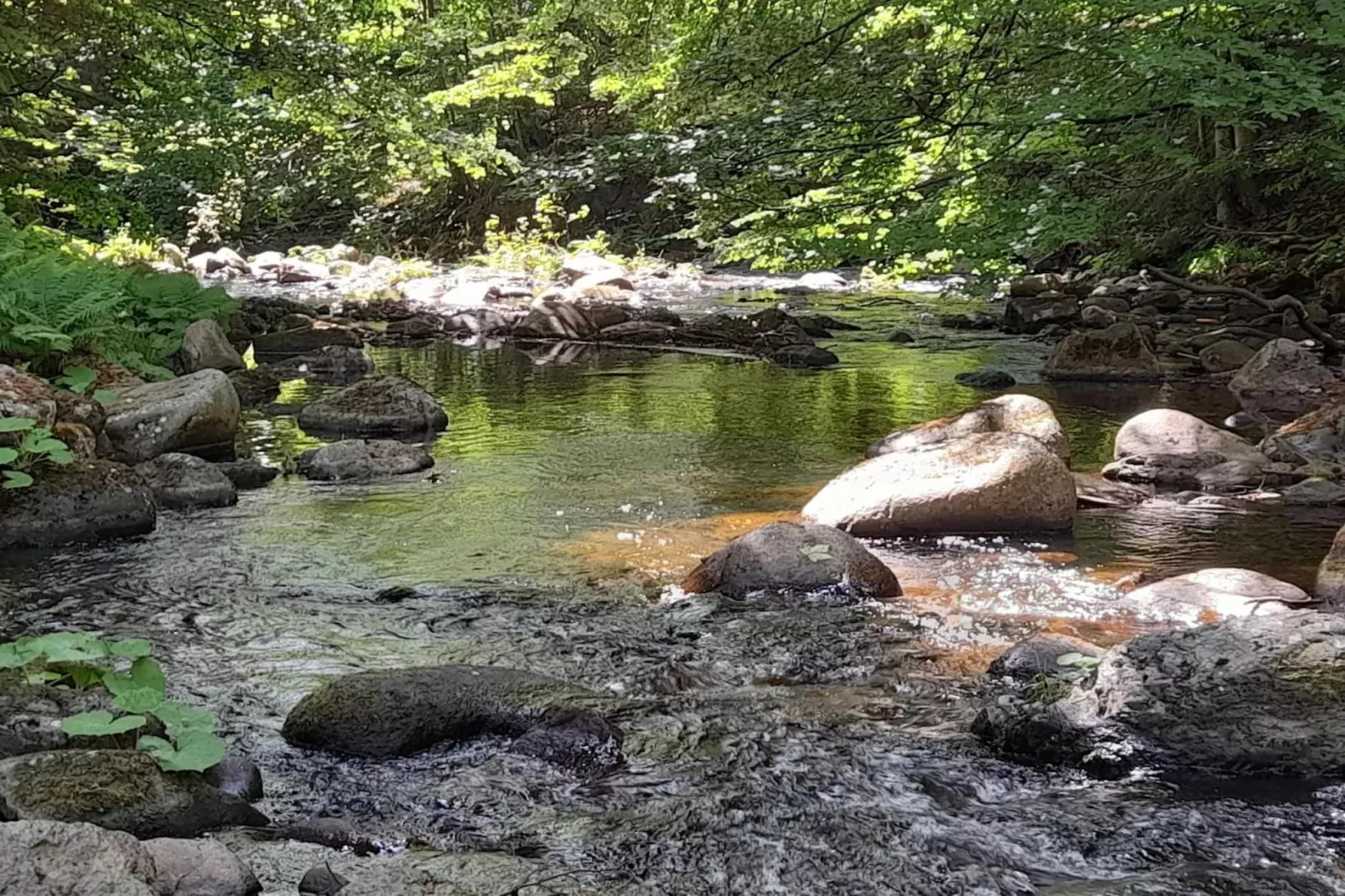 ExclusivLodge - 6 Erw 2 Ki-11 J-Areas within 5km in summer