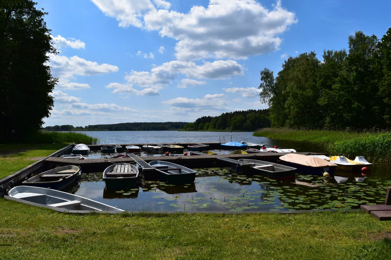 Reihenhaus Rotkehlchen-Areas within 1km in summer