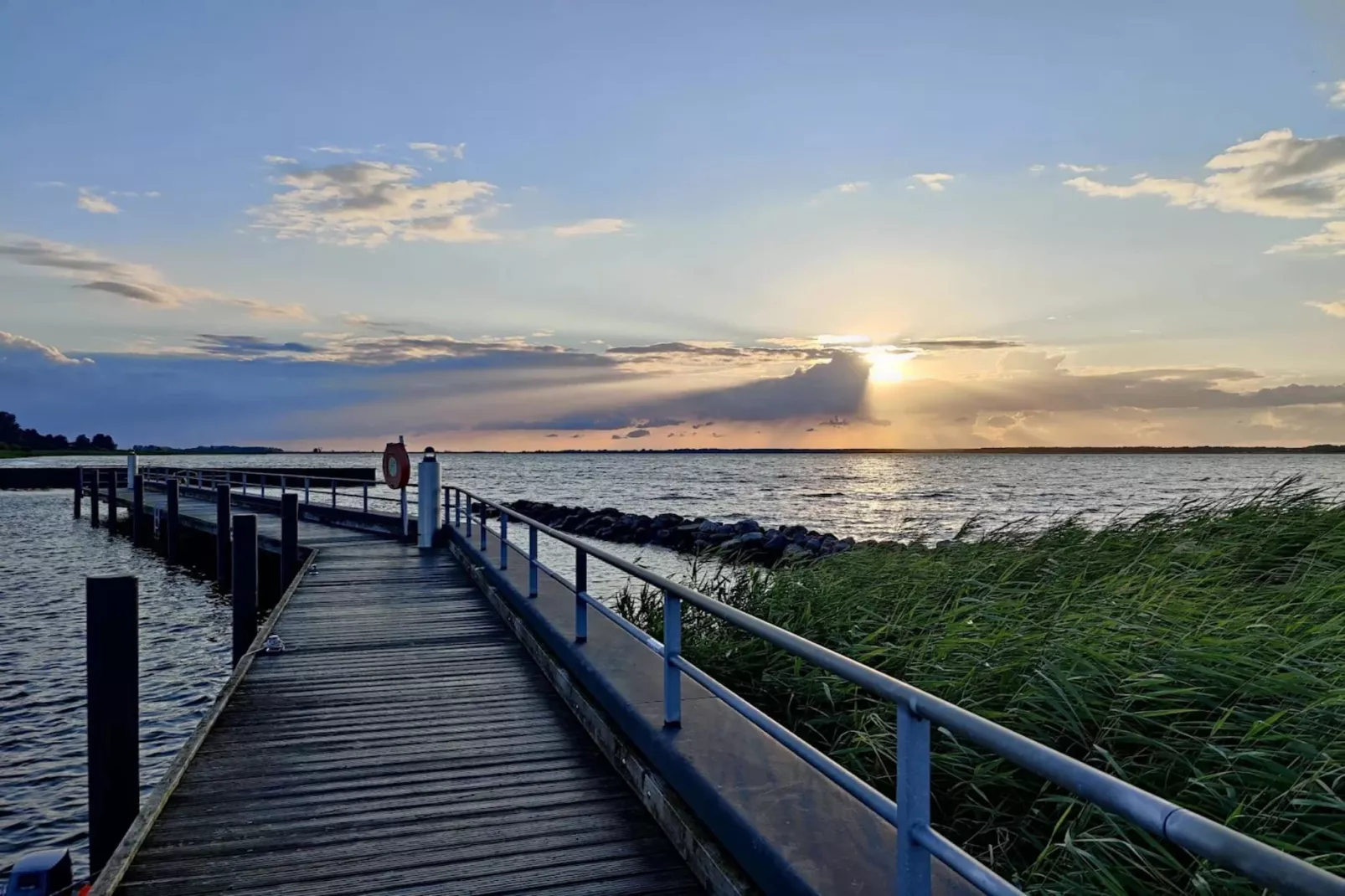 Seeadler 42-Areas within 1km in summer