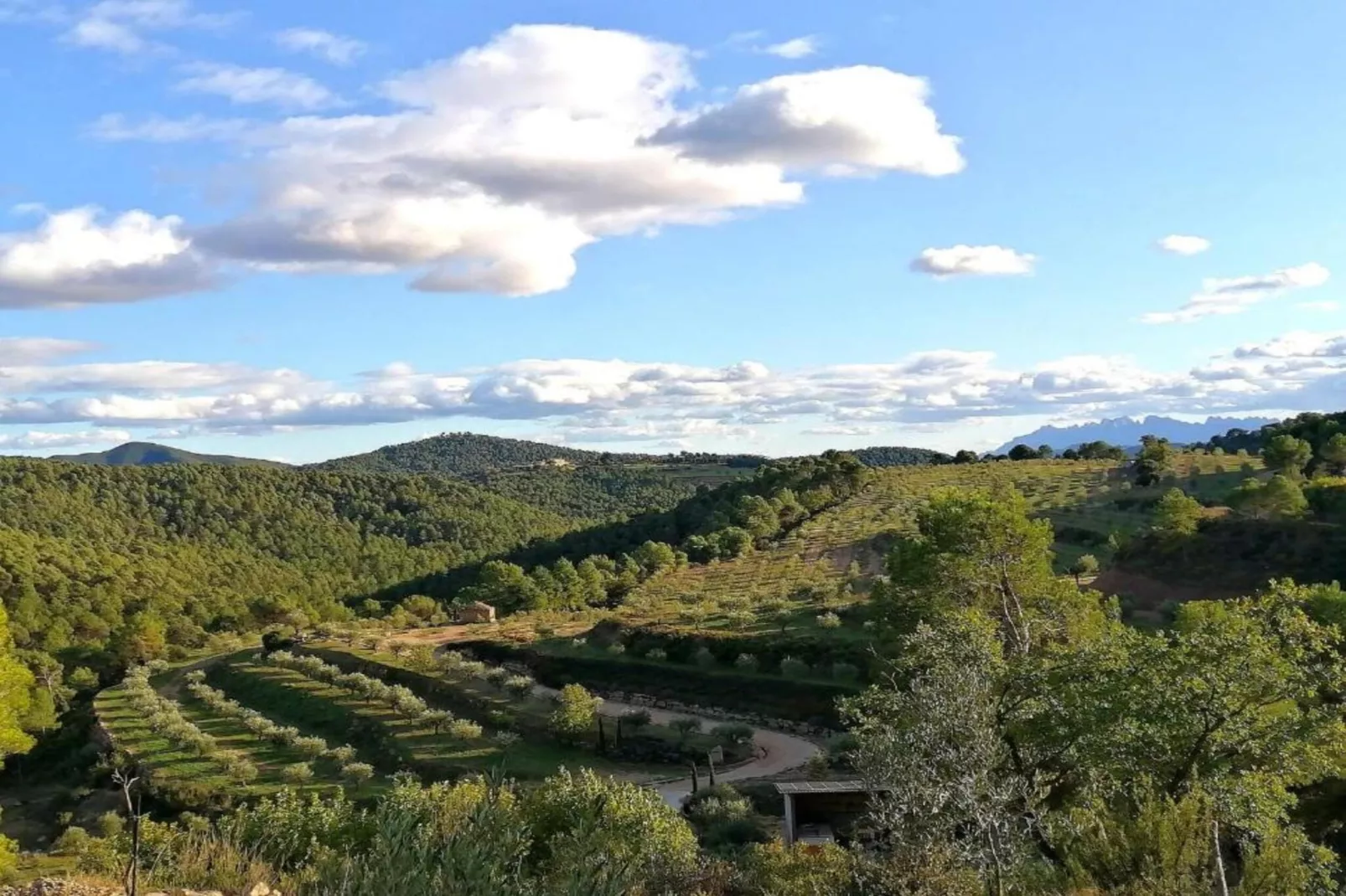 Les Fonts-Areas within 20km in summer
