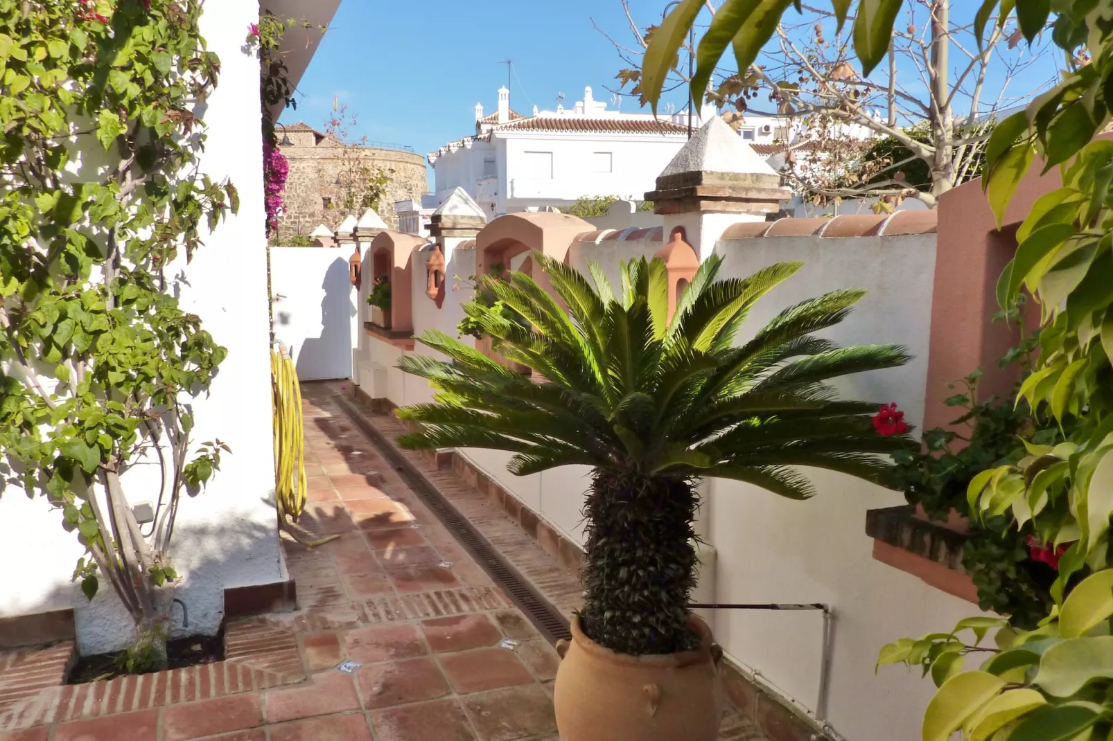 Casa Estoril-Garten Sommer