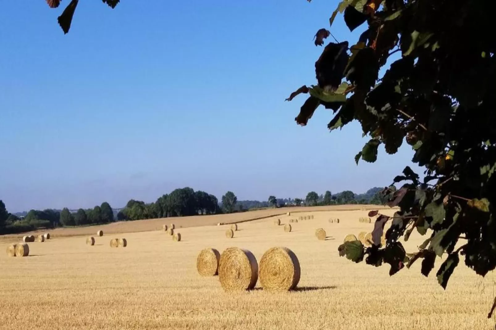 Maison Typique Bretonne-Areas within 20km in summer