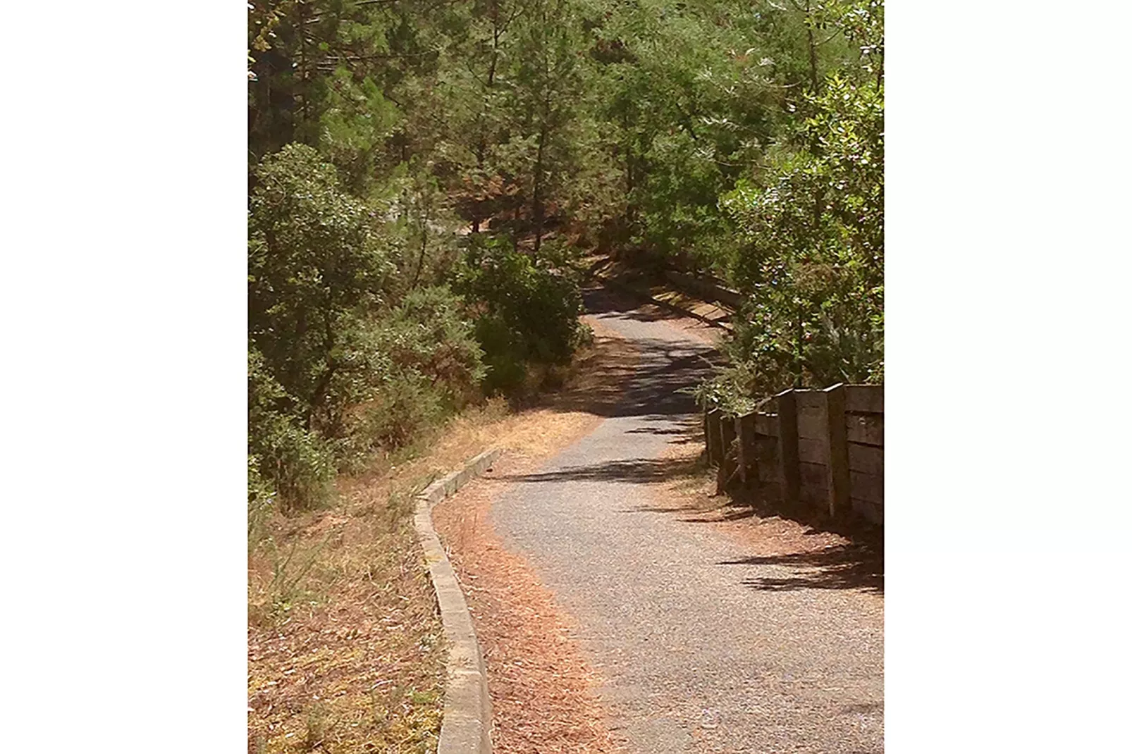 Clos les Pins-Gebiete Sommer 1 km