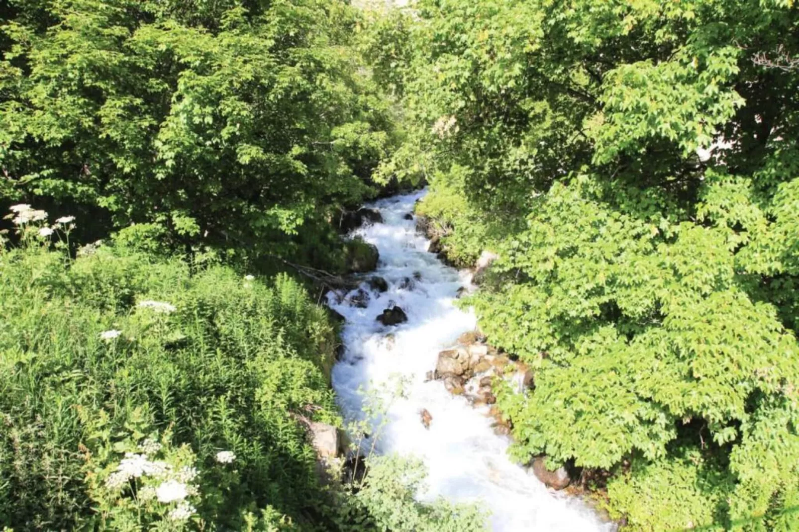 Chalet Clochettes-Areas within 20km in summer