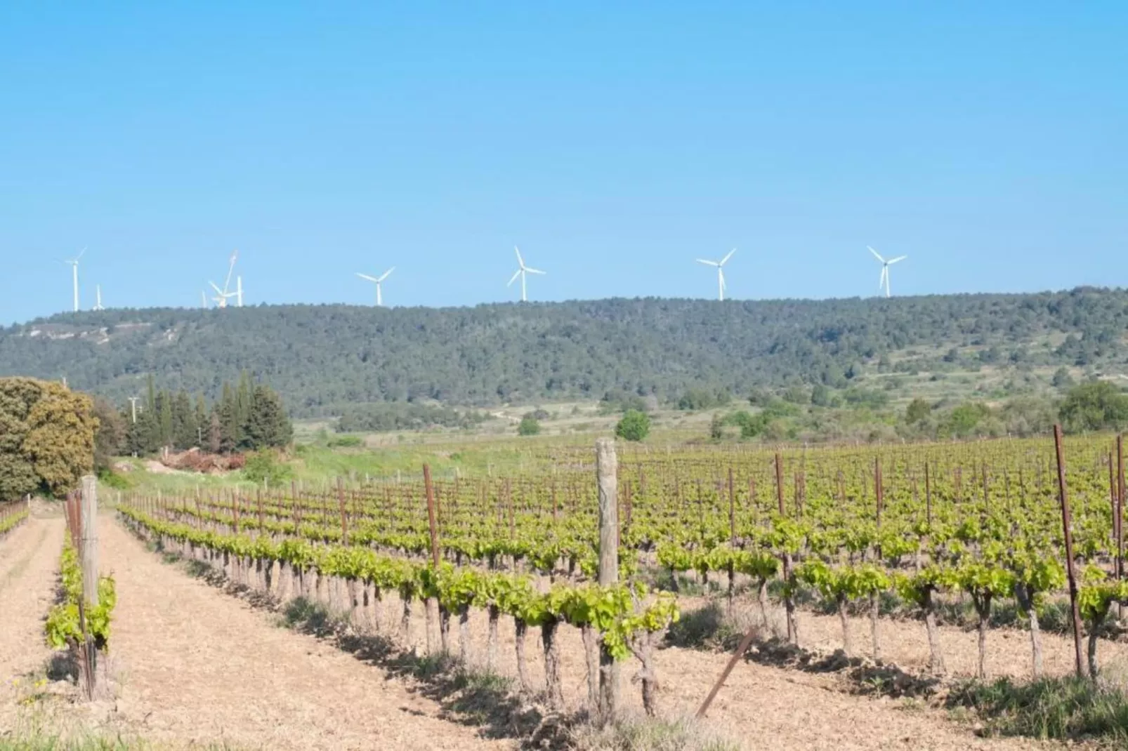 Argeliers-Areas within 20km in summer