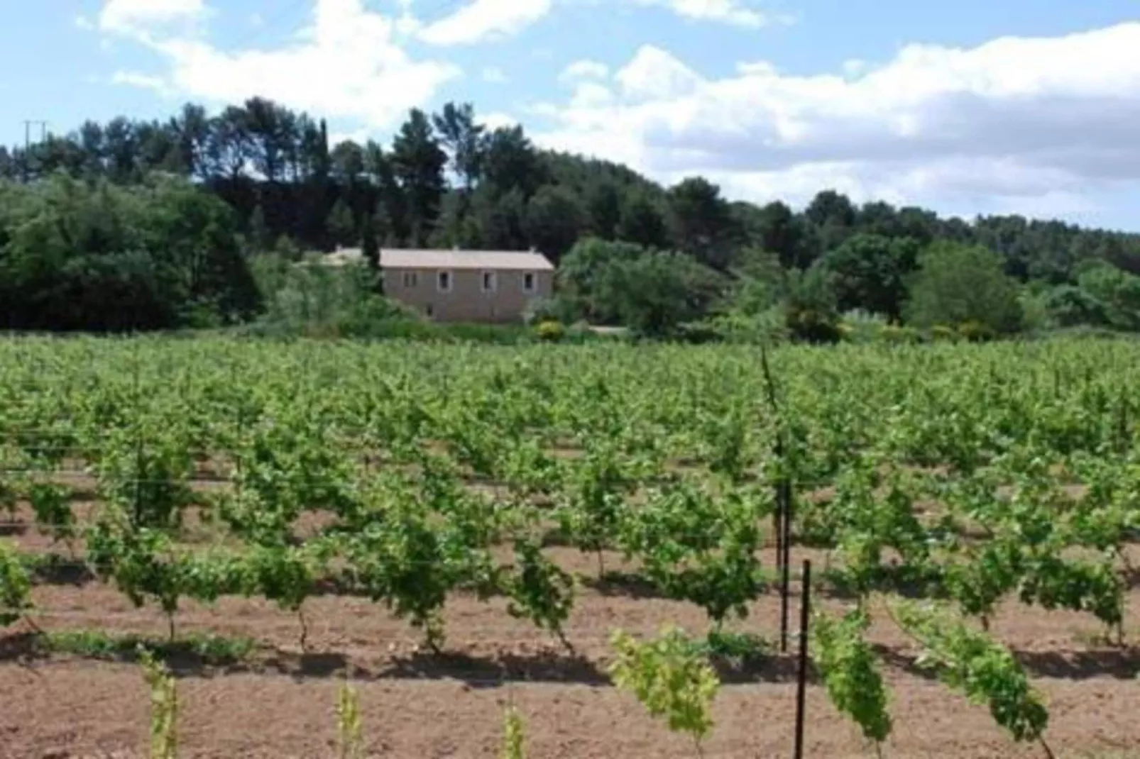 Villa Sainte Valière Bob et Bobette-Areas within 20km in summer