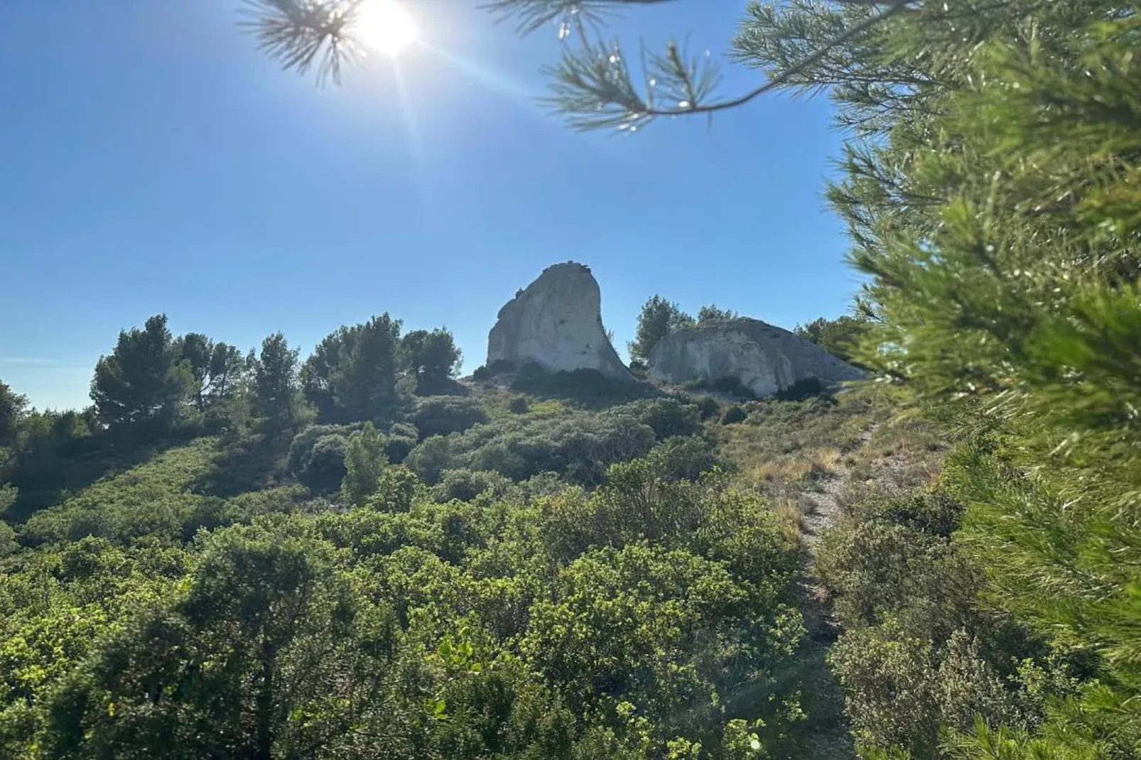Rèsidence Le Mas des Alpilles 1-Areas within 20km in summer
