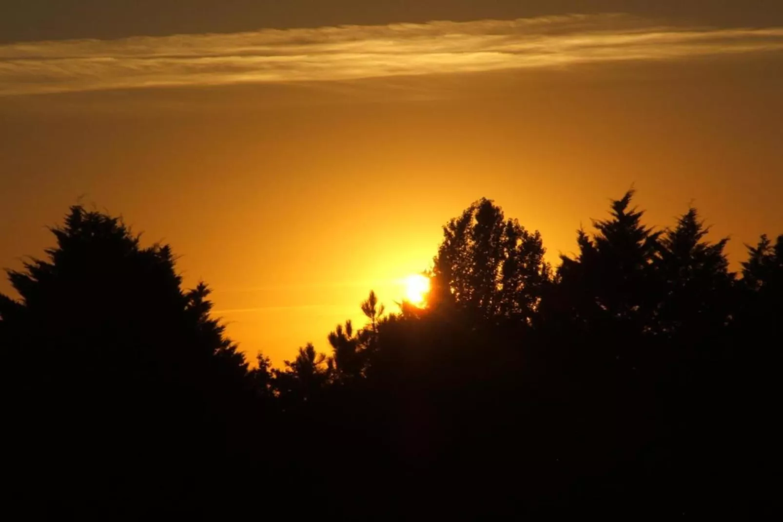 Circaud-Gebiete Sommer 20 km