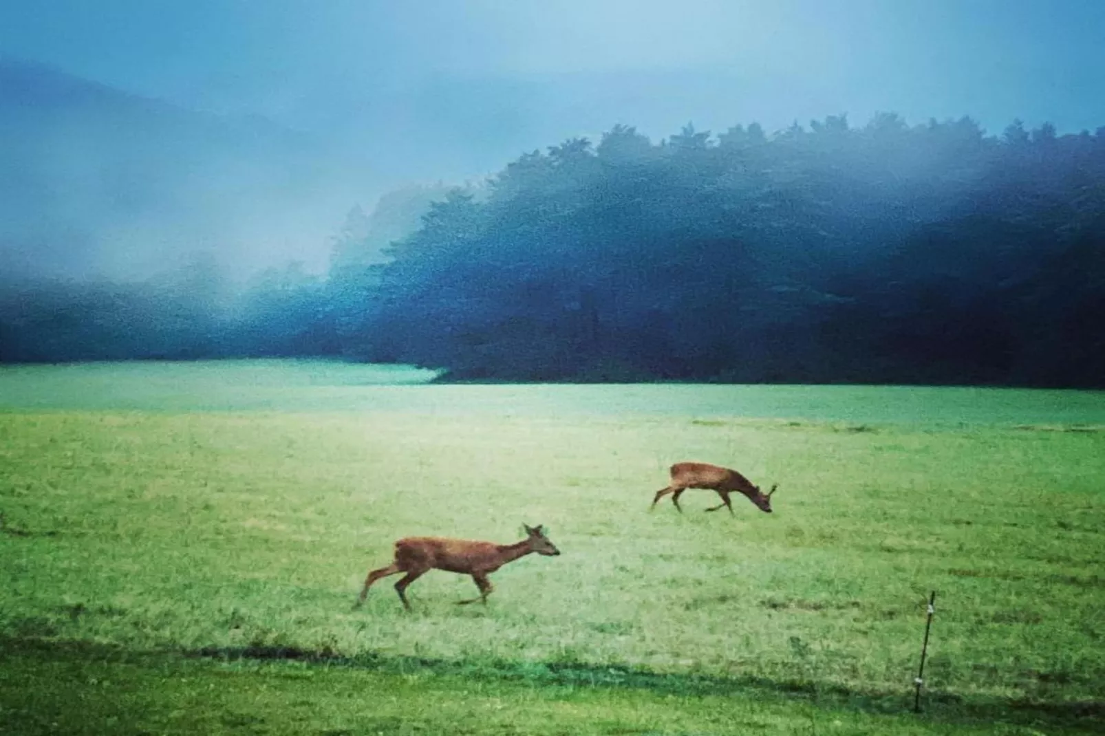 La Chaumière-Zones été à 20 km
