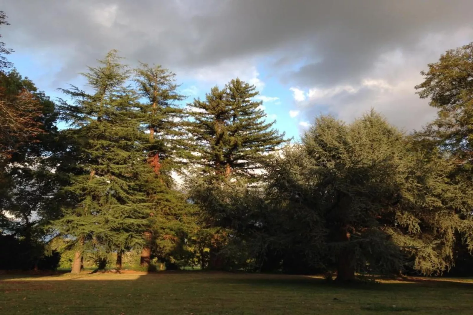 Le Hameau de Peemor Pen 3-Areas within 20km in summer