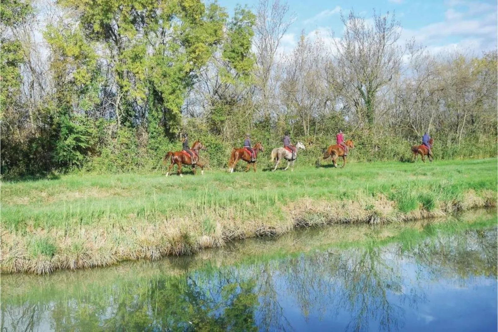 Au bord de l'eau-Areas within 5km in summer