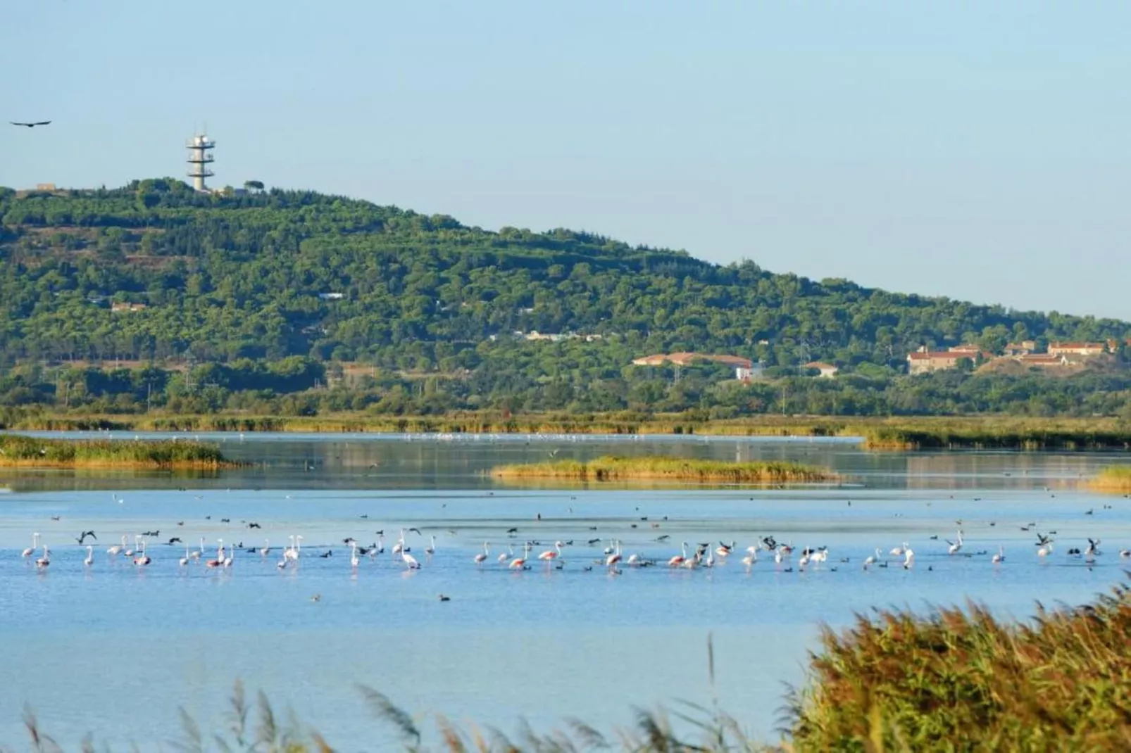 Résidence du Golfe 4-Areas within 20km in summer