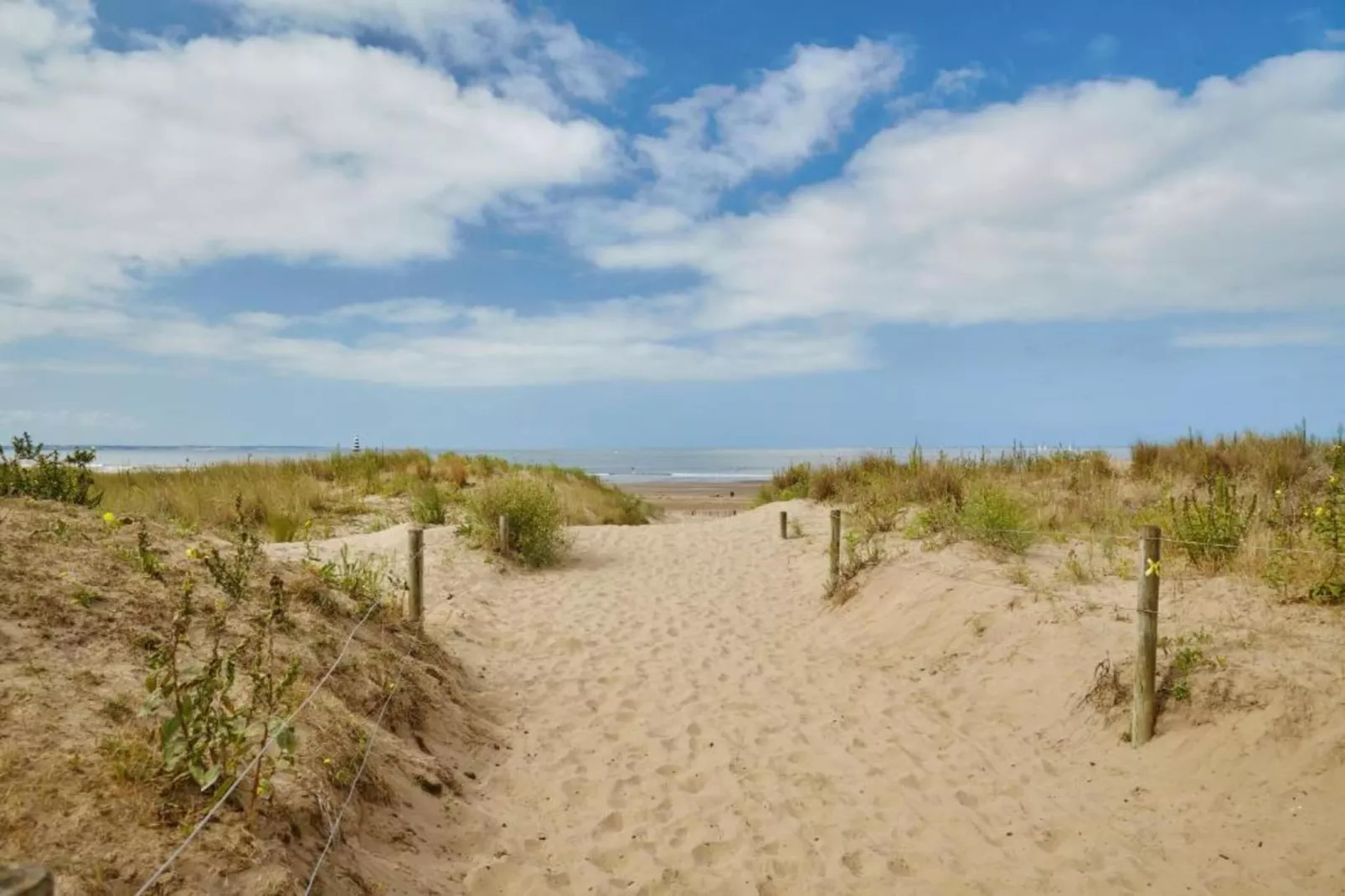 Residence de la Plage 11-Areas within 20km in summer