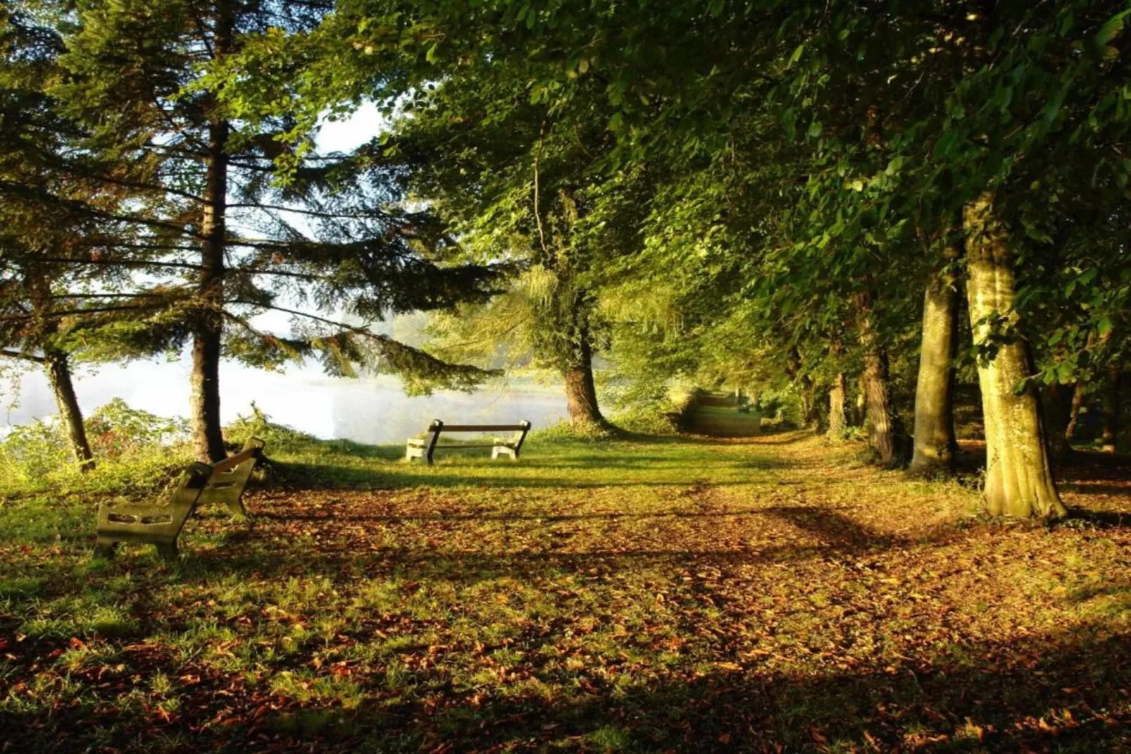 La Coquette-Zones été à 20 km