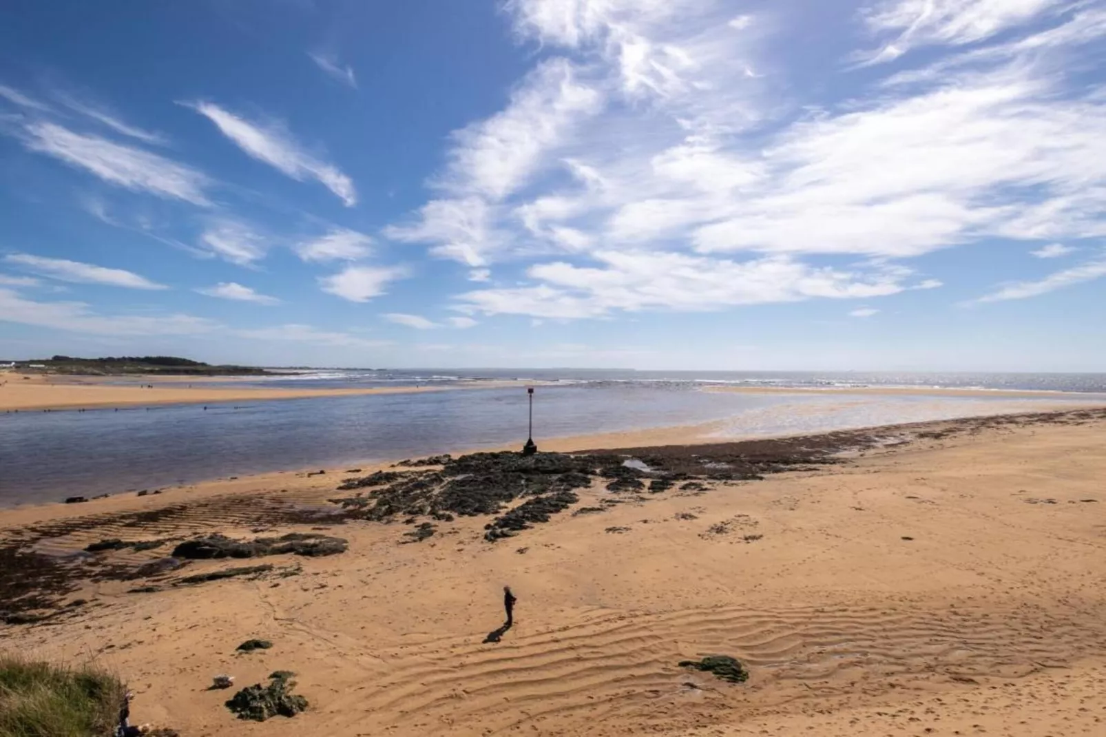 Fleur de Sel 4-Areas within 1km in summer